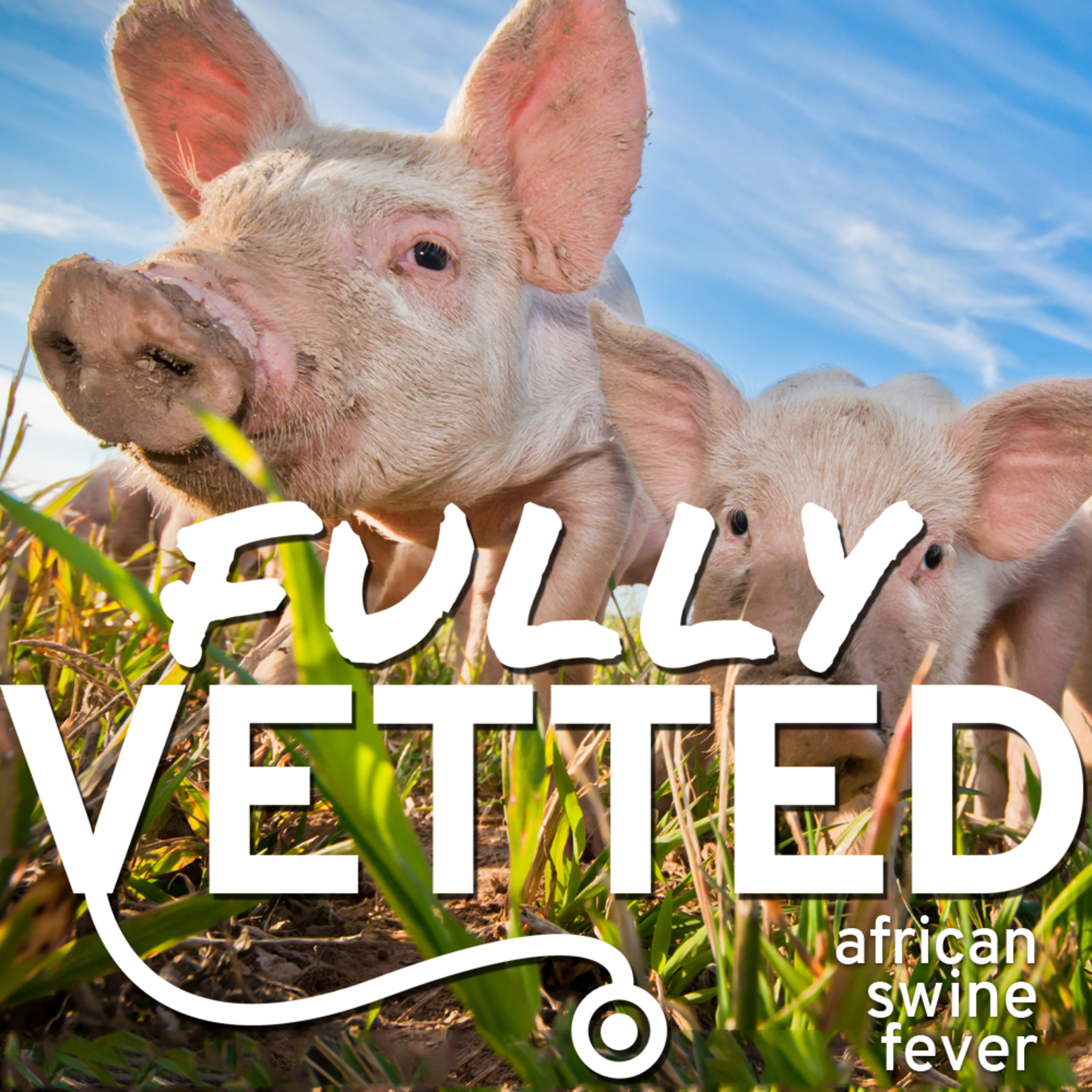 Fully Vetted
