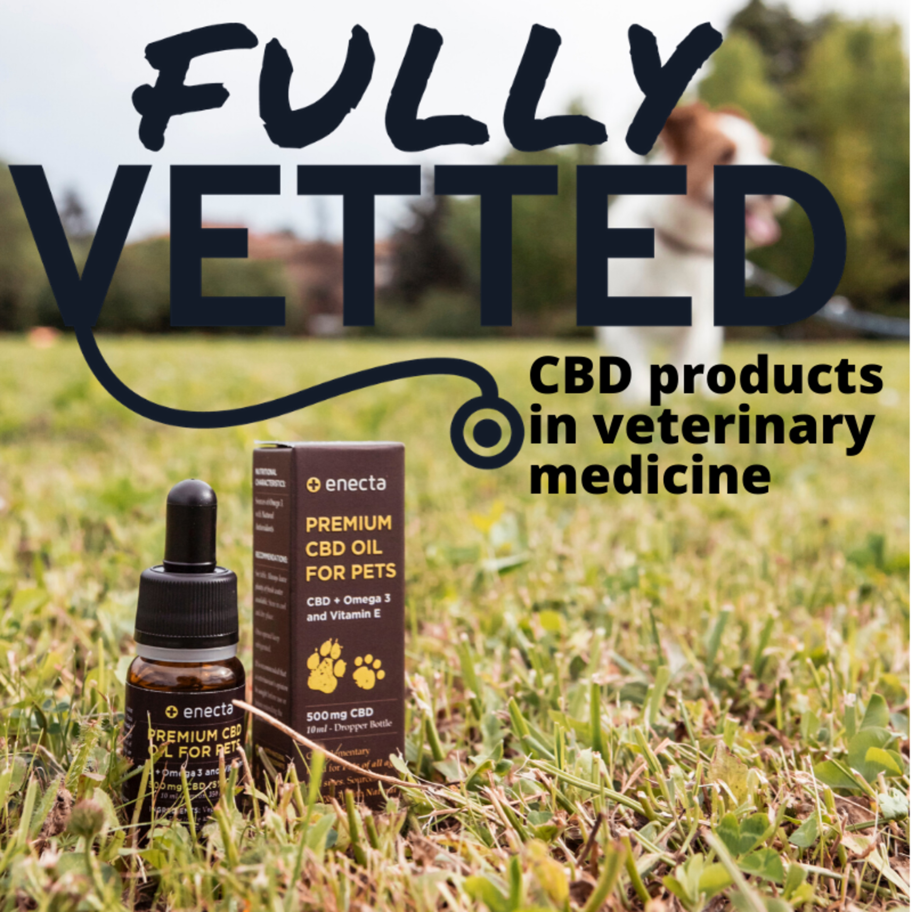 Fully Vetted