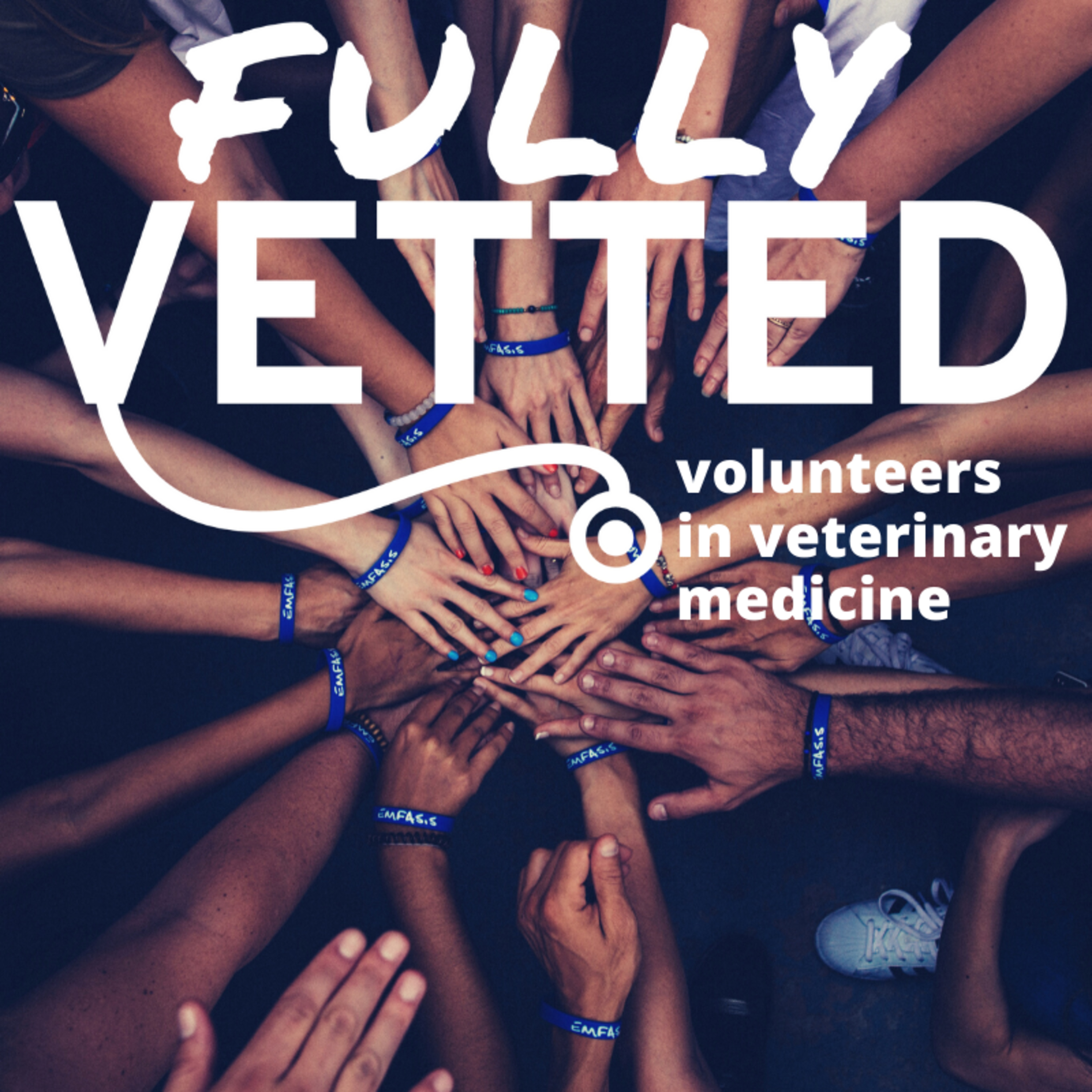 Fully Vetted