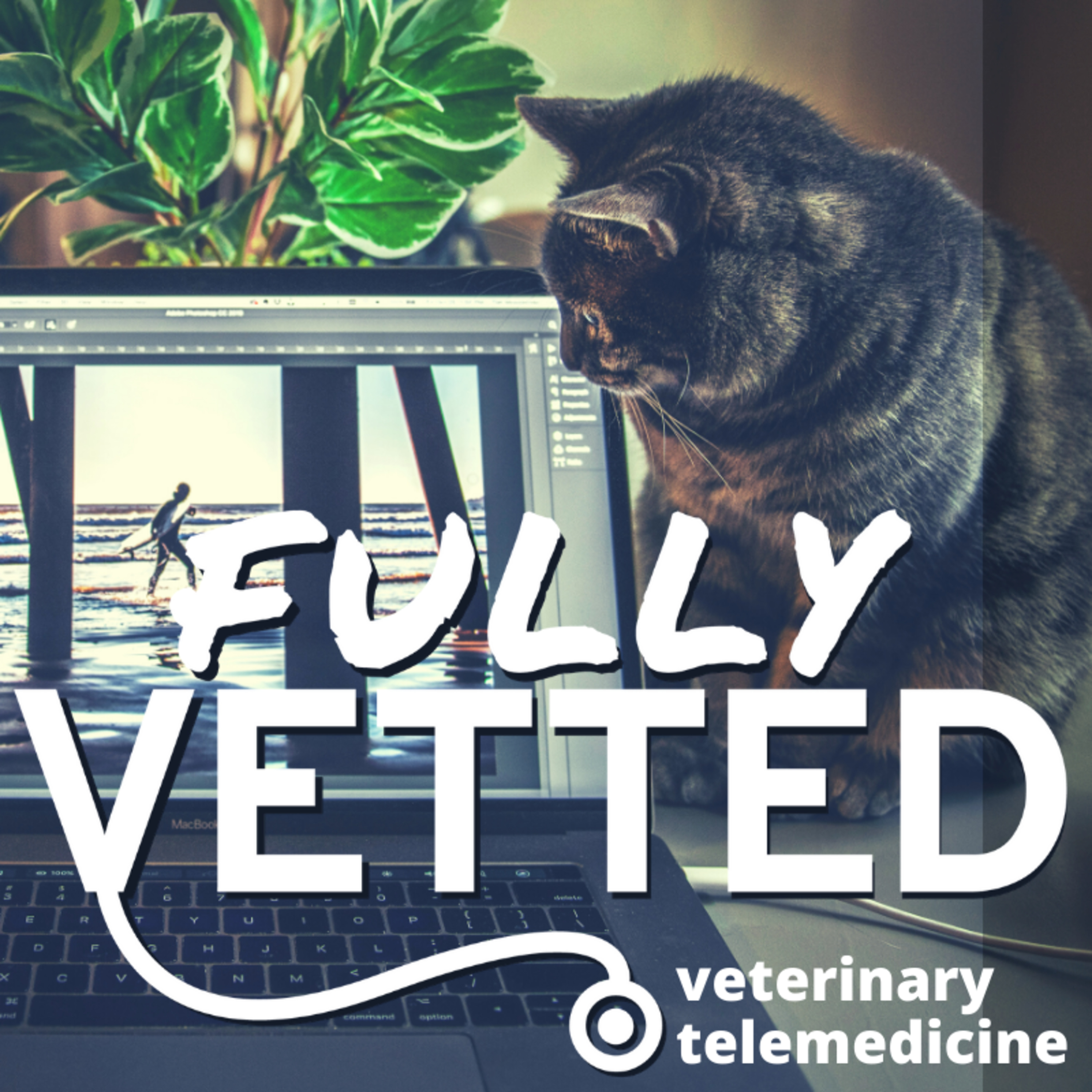 Fully Vetted