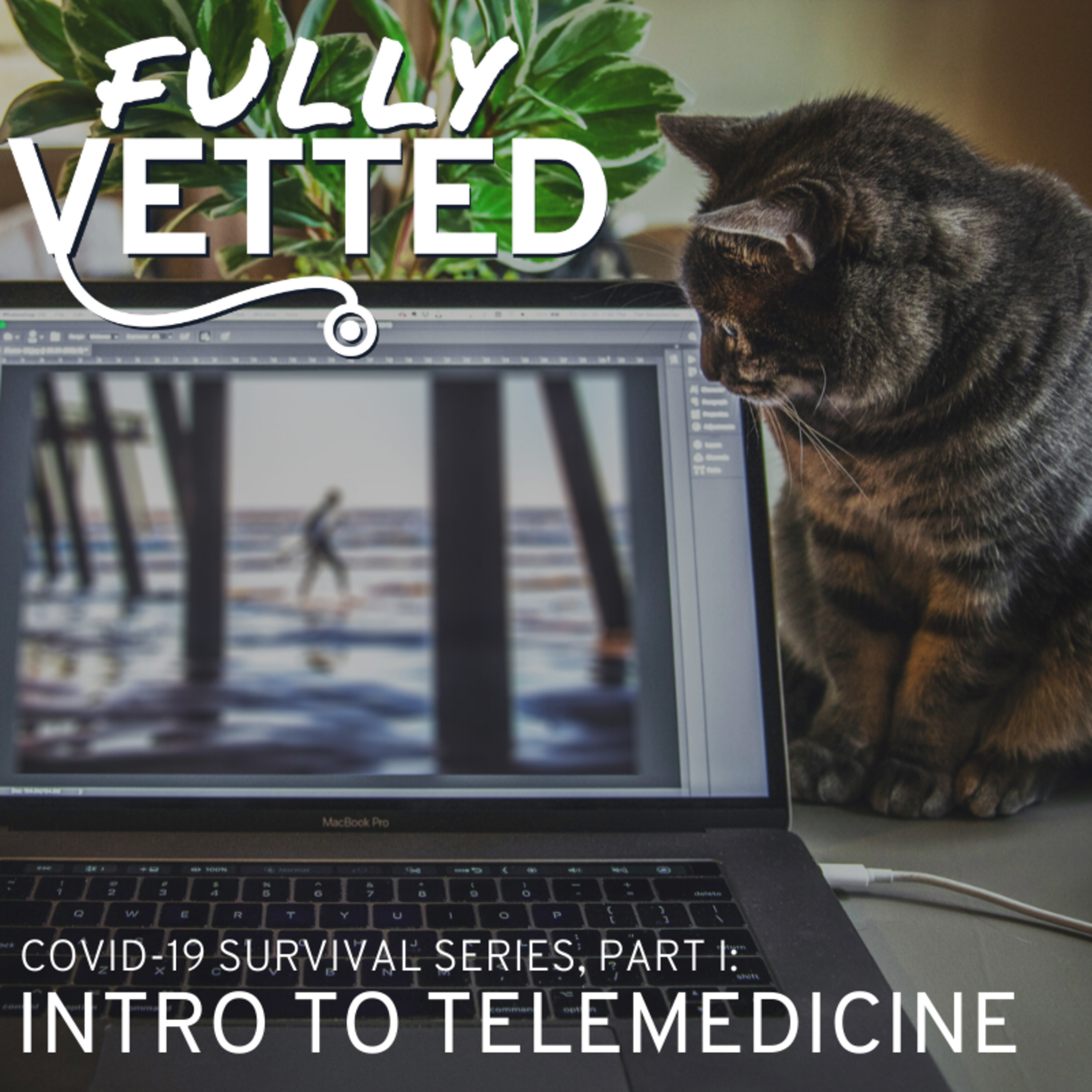 Fully Vetted