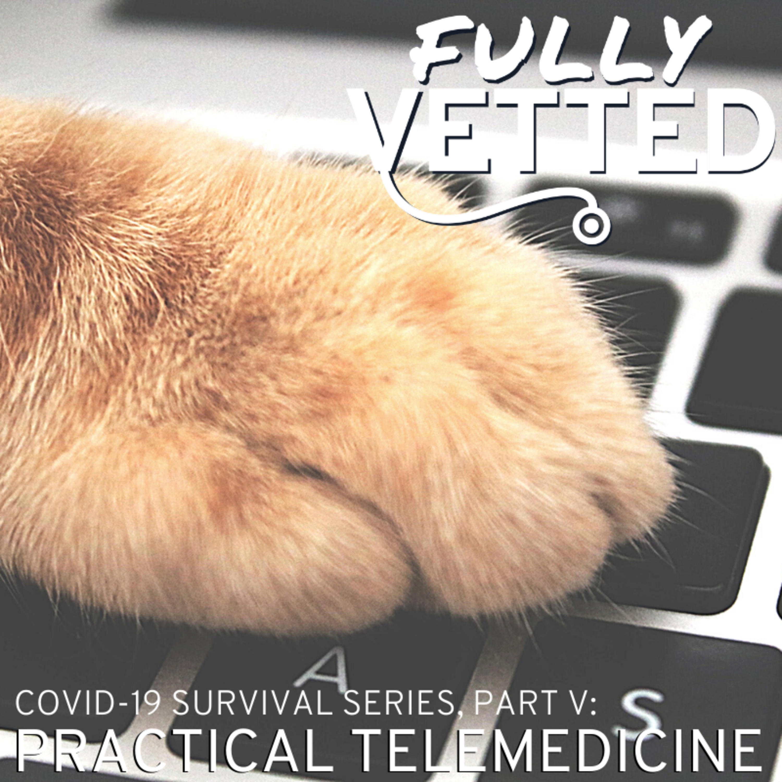 Fully Vetted