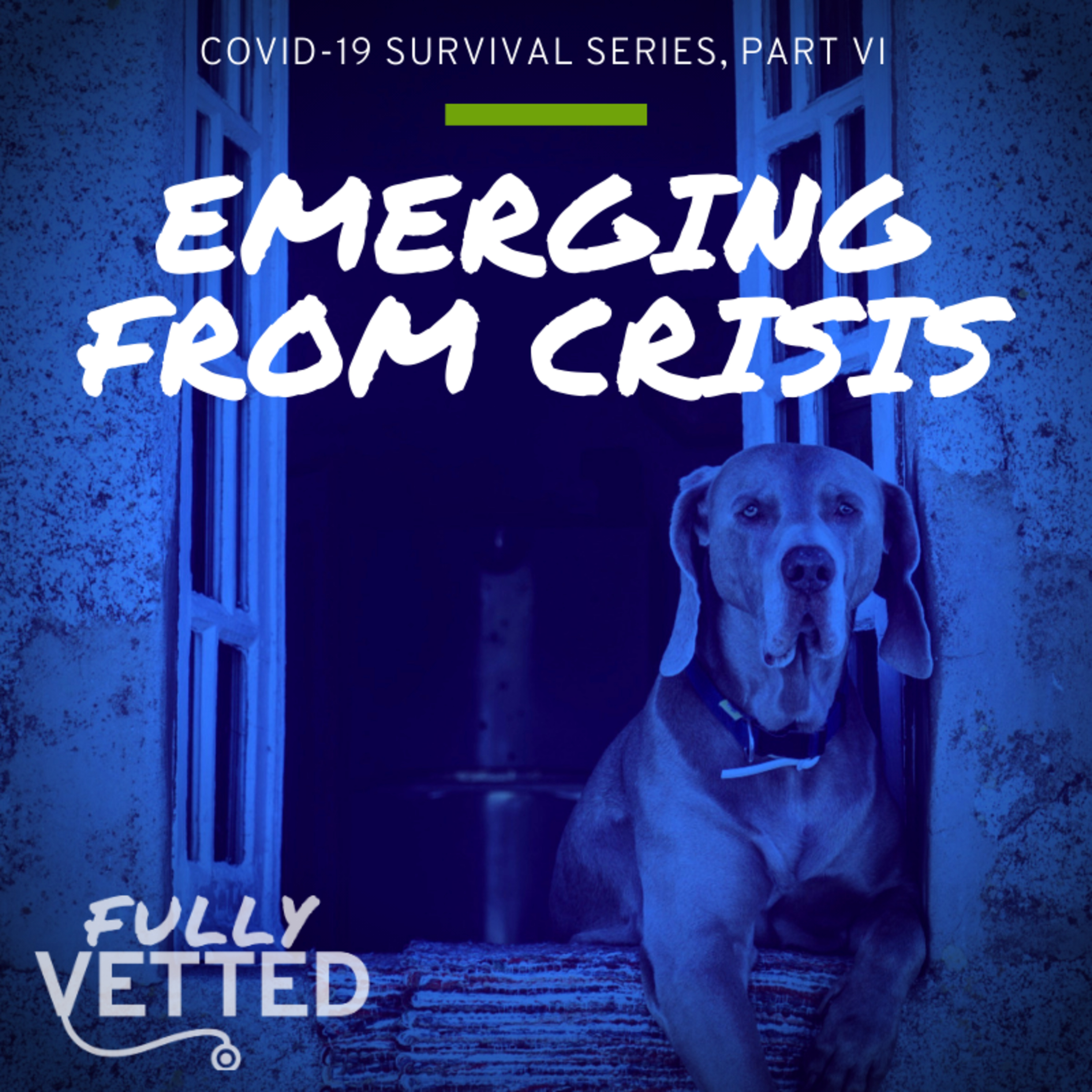 Fully Vetted