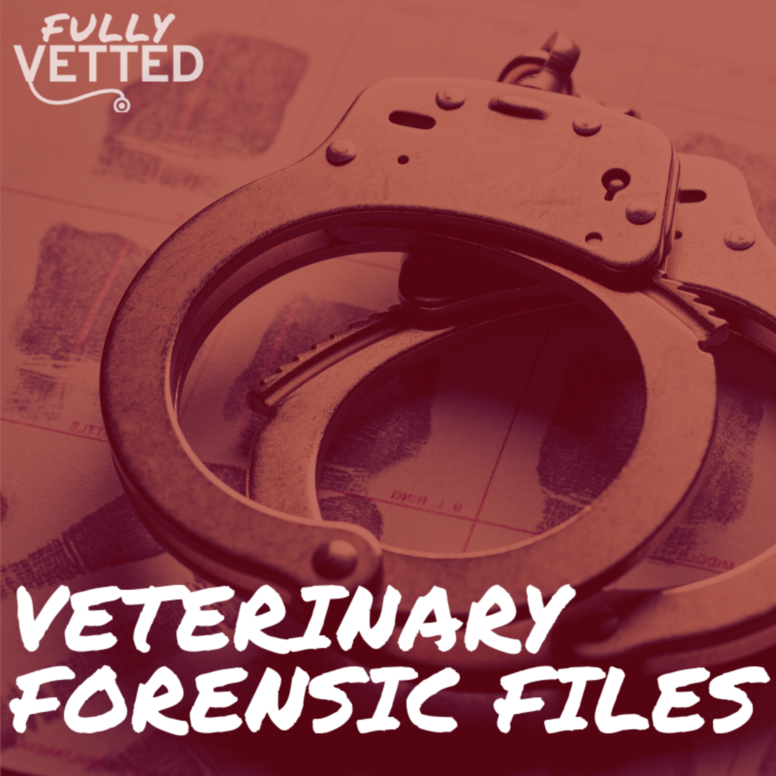 Fully Vetted