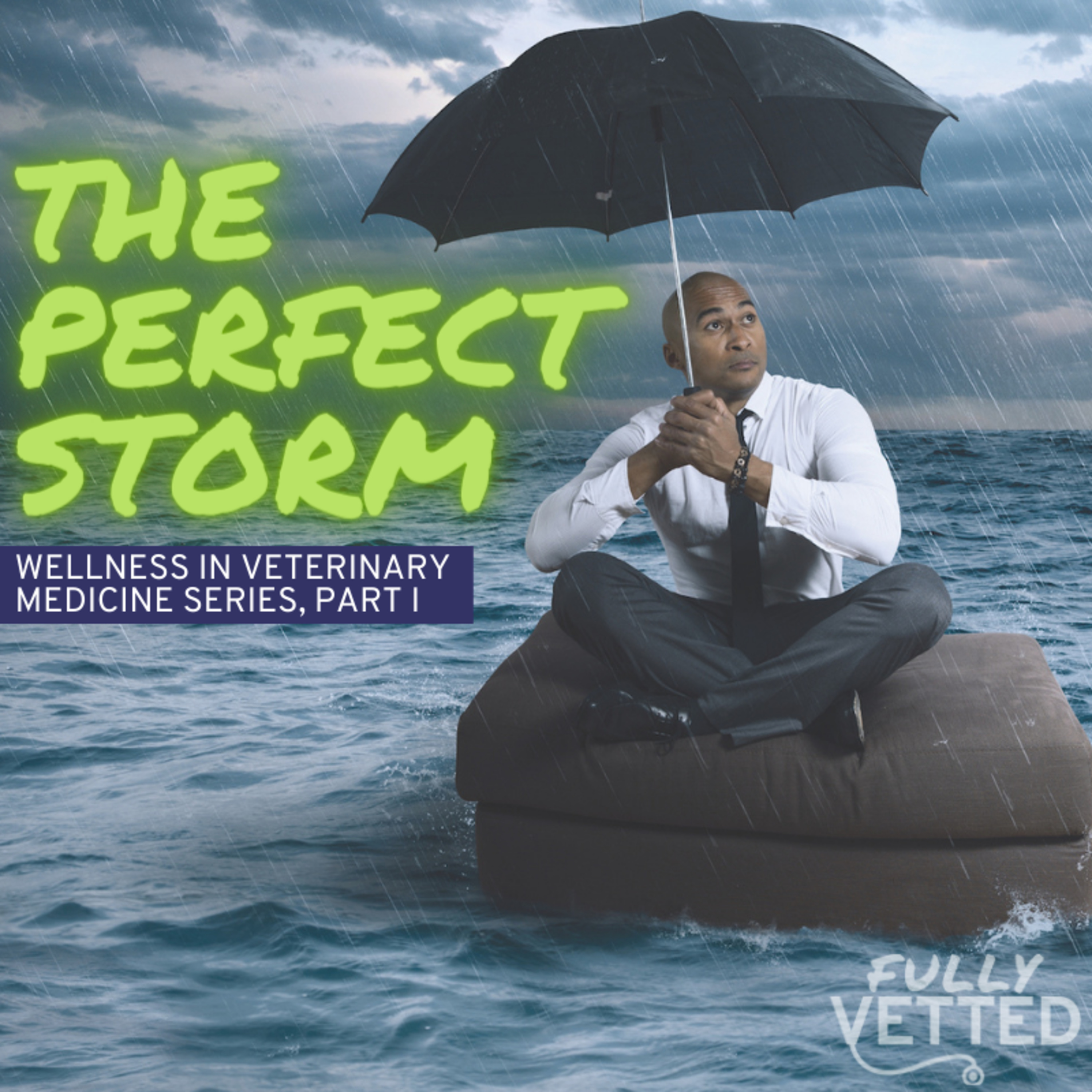 Fully Vetted