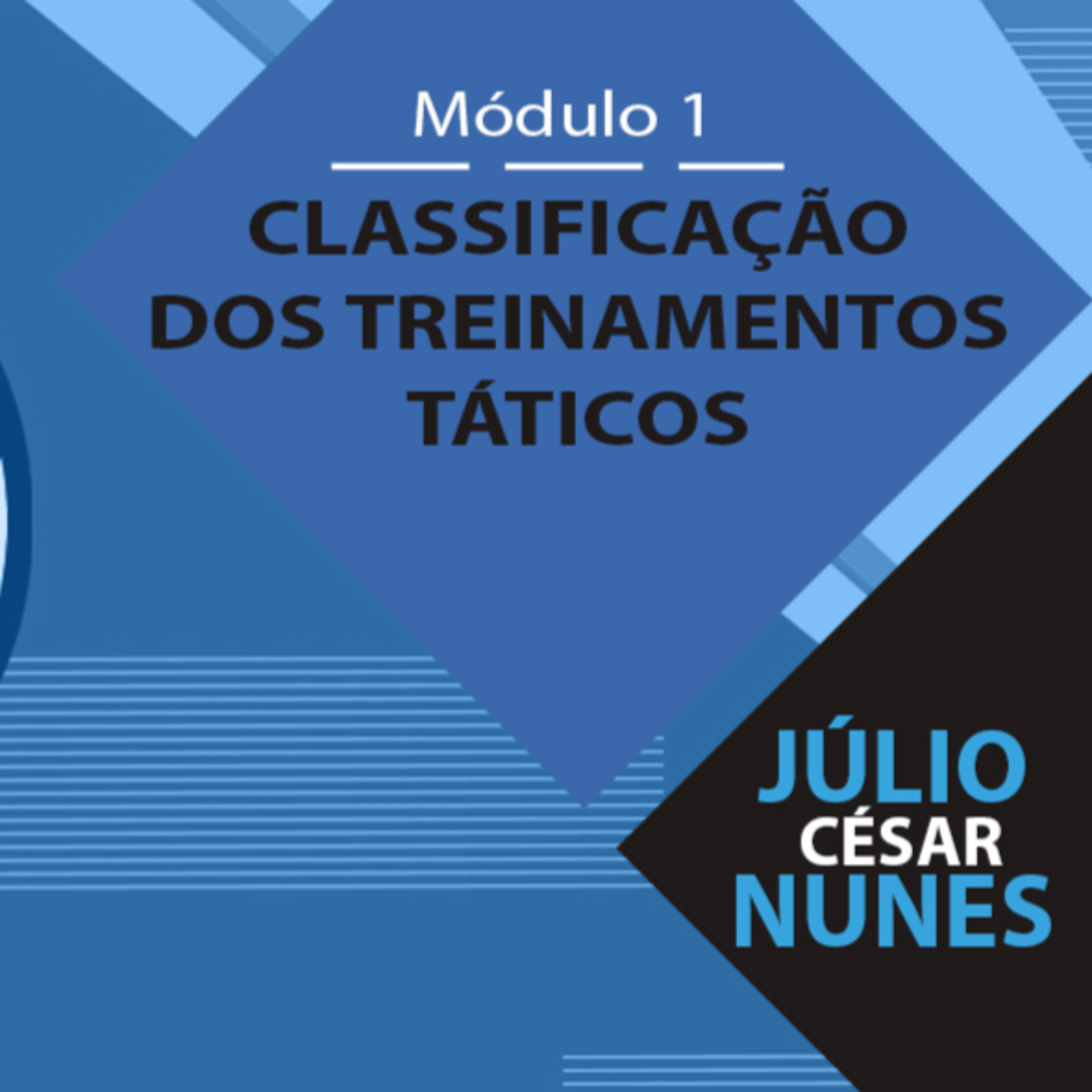 O profissional de Educação Física: Da iniciação ao alto rendimento.