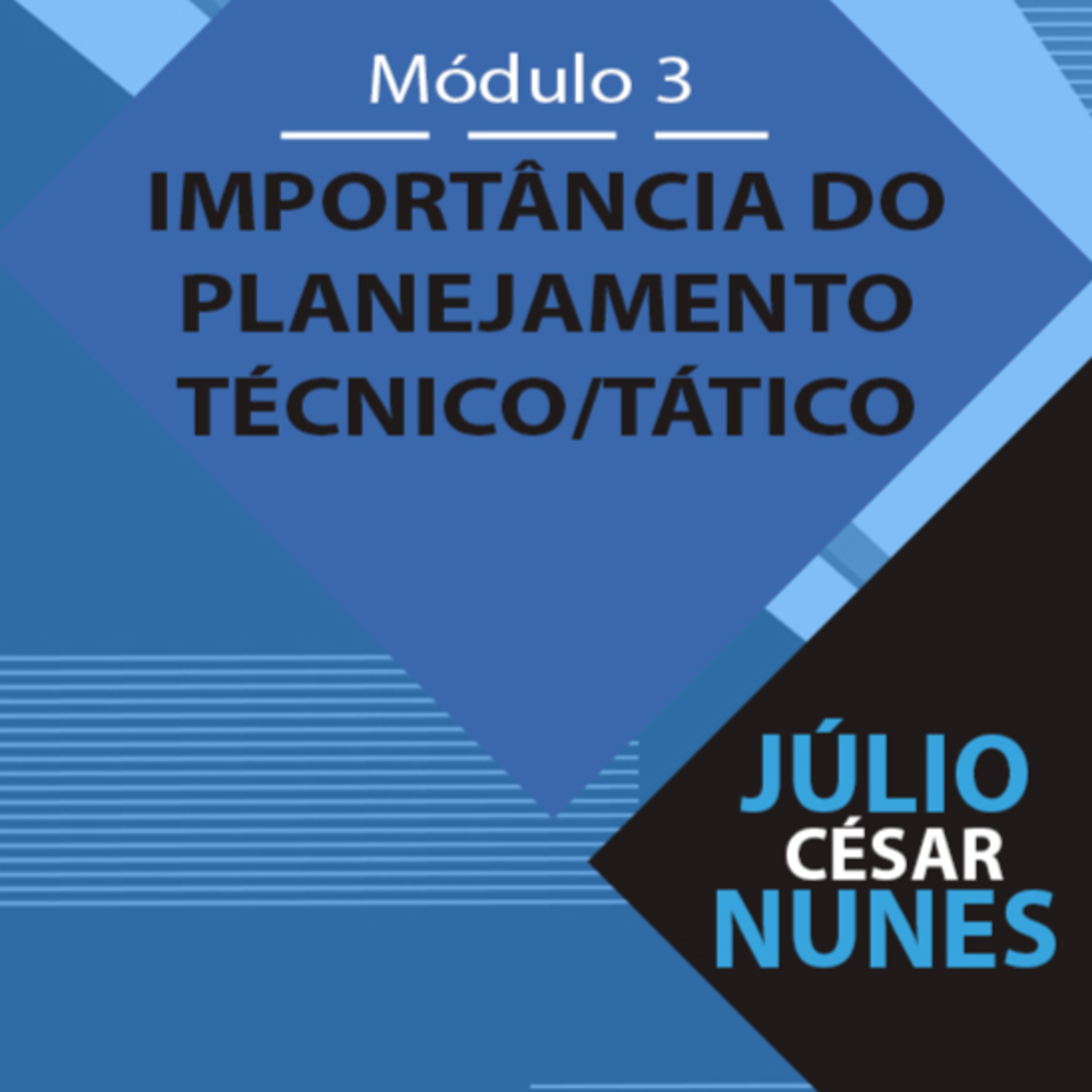 O profissional de Educação Física: Da iniciação ao alto rendimento.