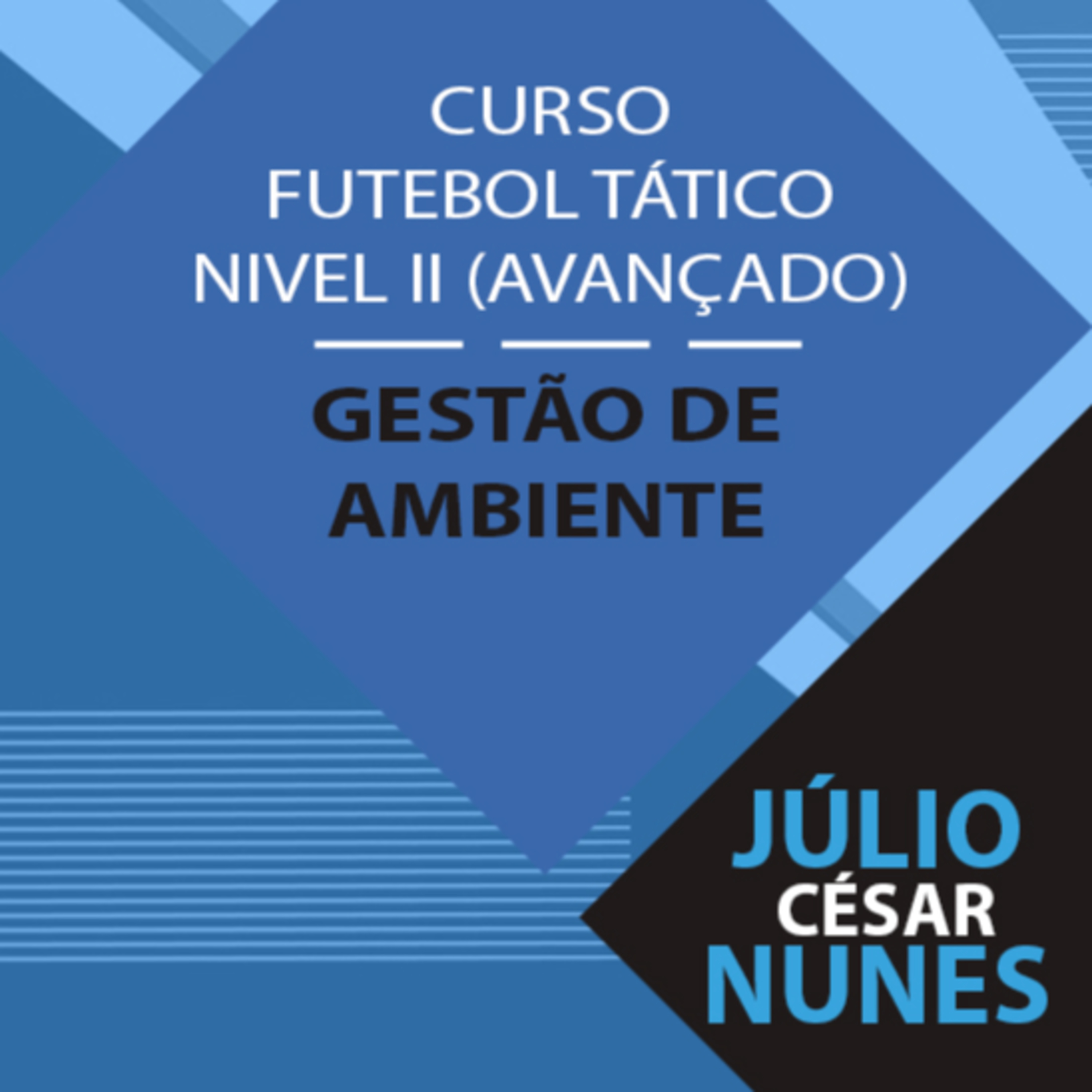 O profissional de Educação Física: Da iniciação ao alto rendimento.