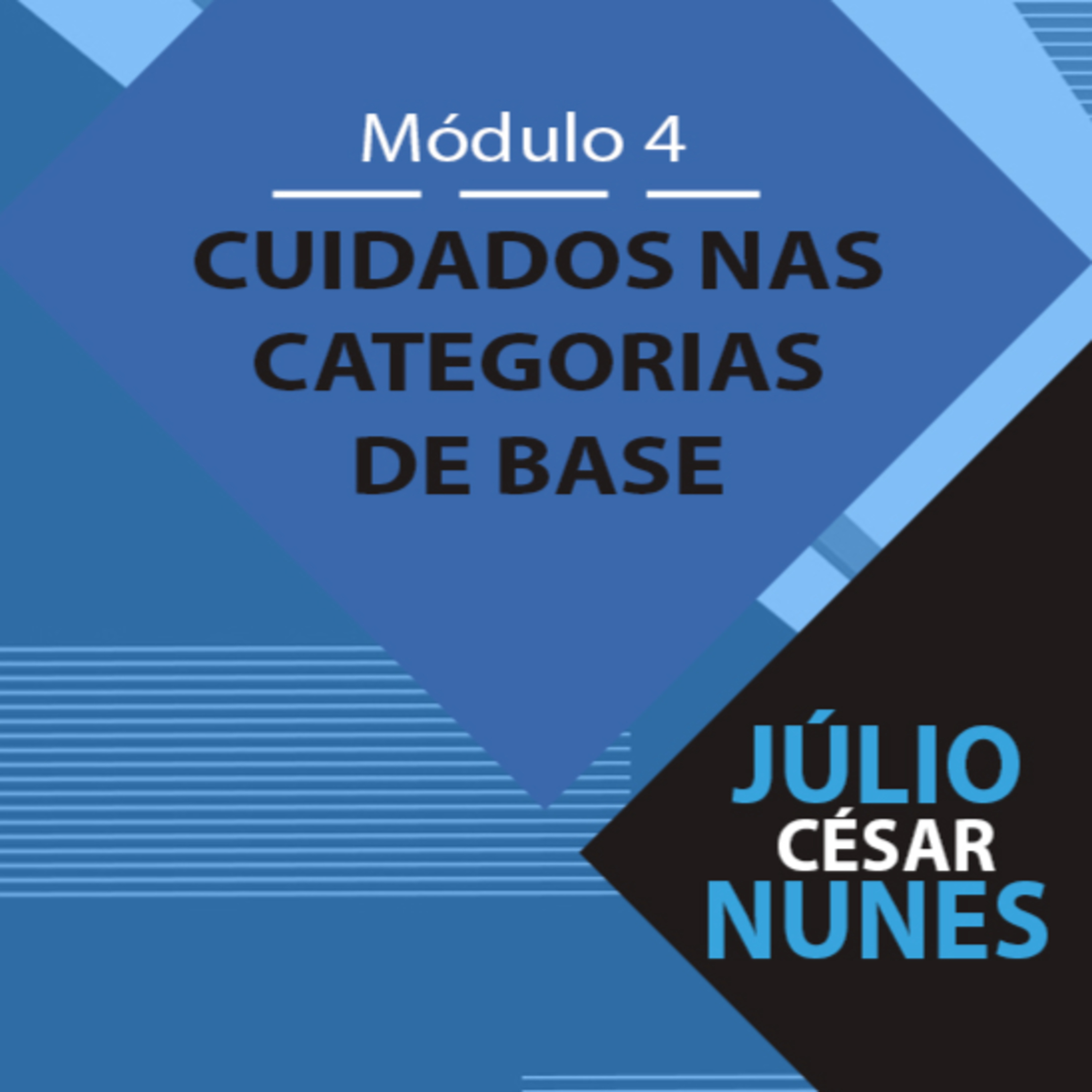 O profissional de Educação Física: Da iniciação ao alto rendimento.