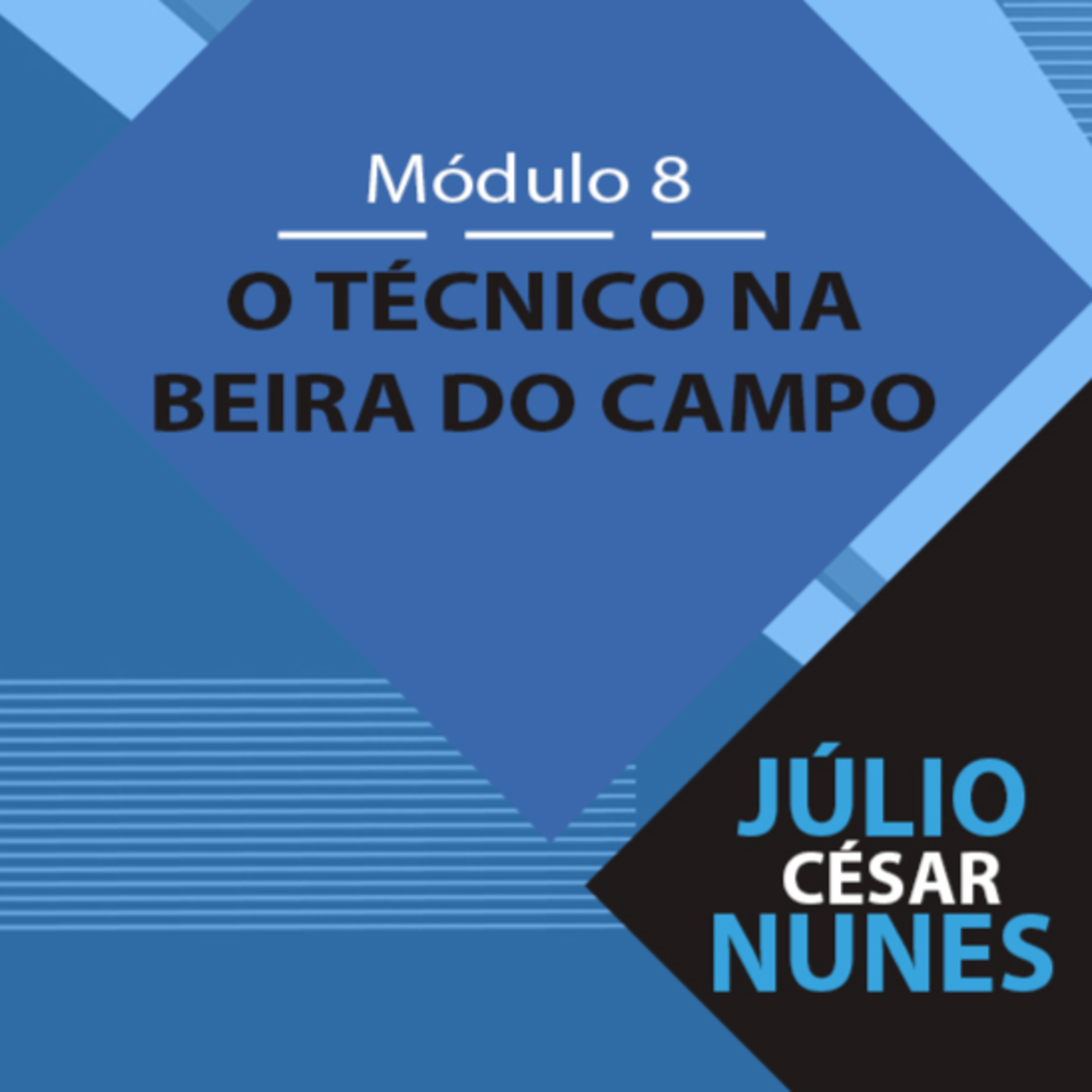 O profissional de Educação Física: Da iniciação ao alto rendimento.