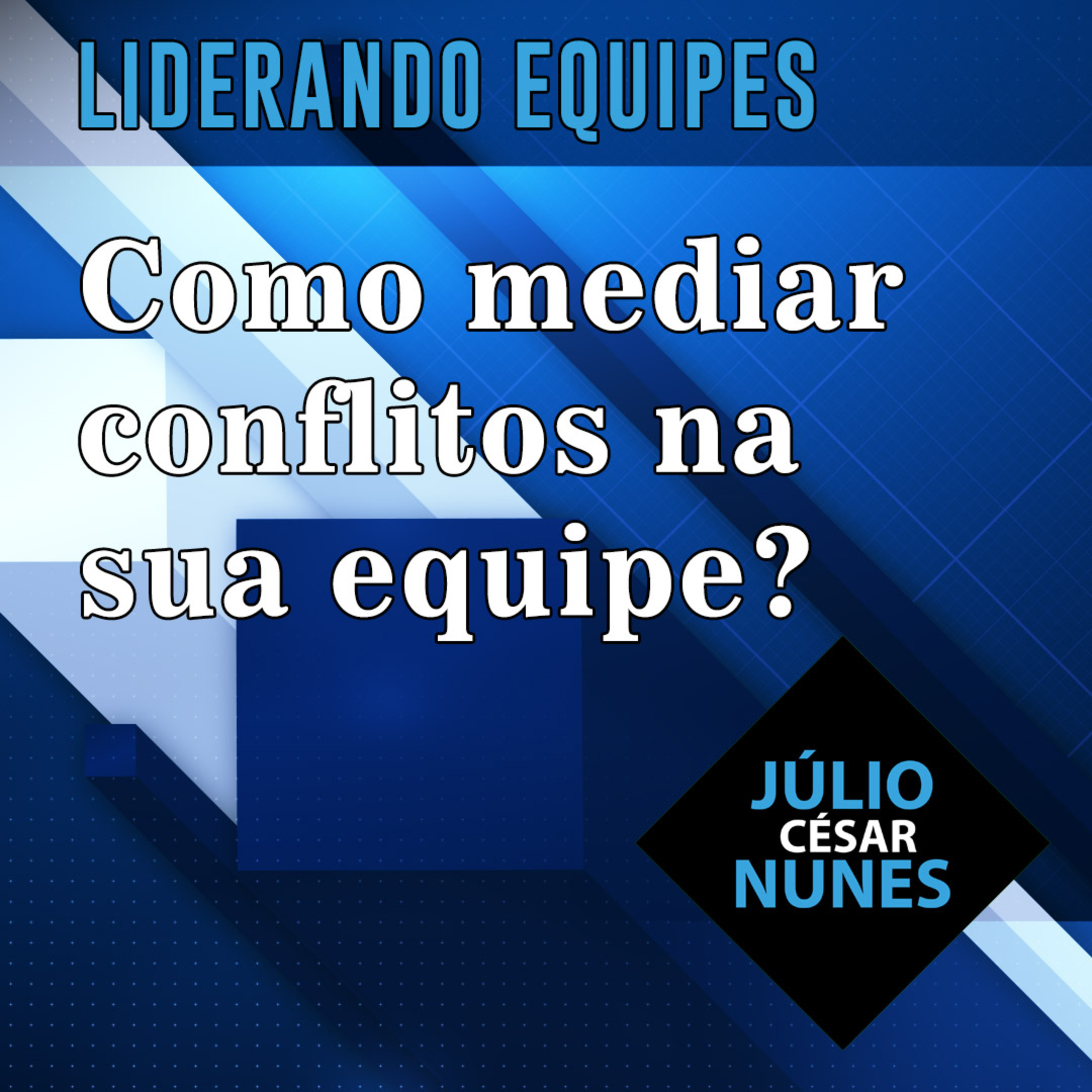 O profissional de Educação Física: Da iniciação ao alto rendimento.