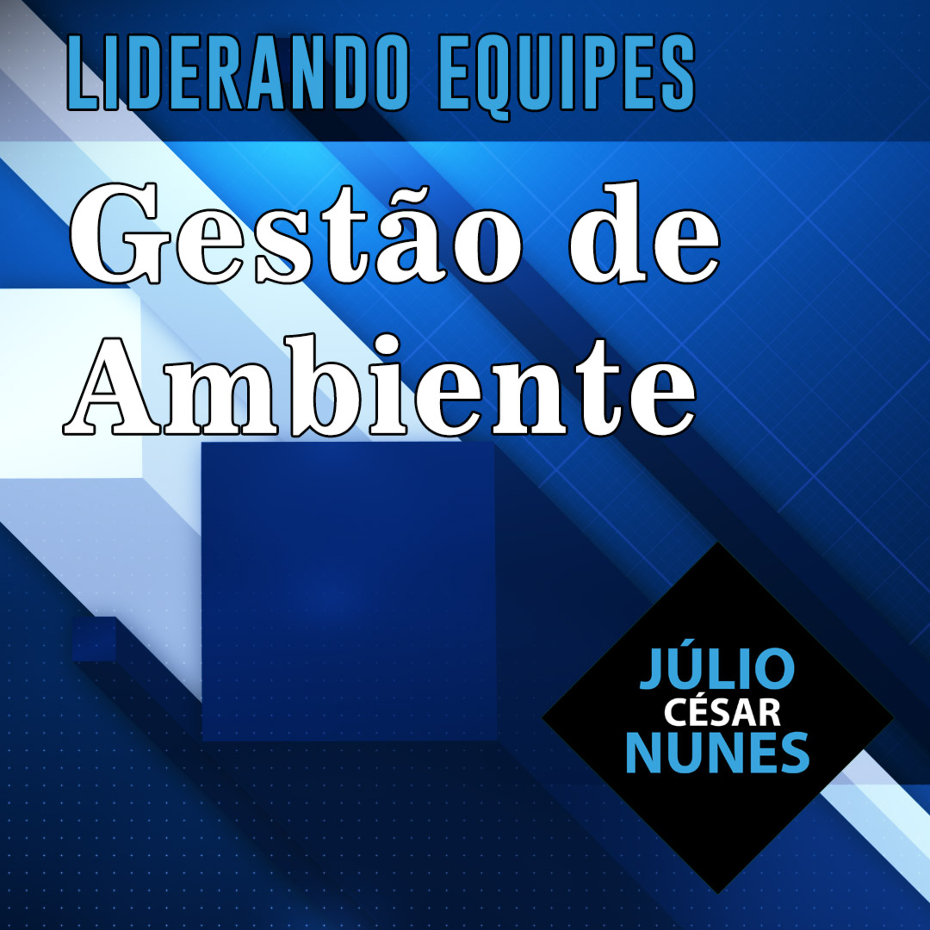 O profissional de Educação Física: Da iniciação ao alto rendimento.