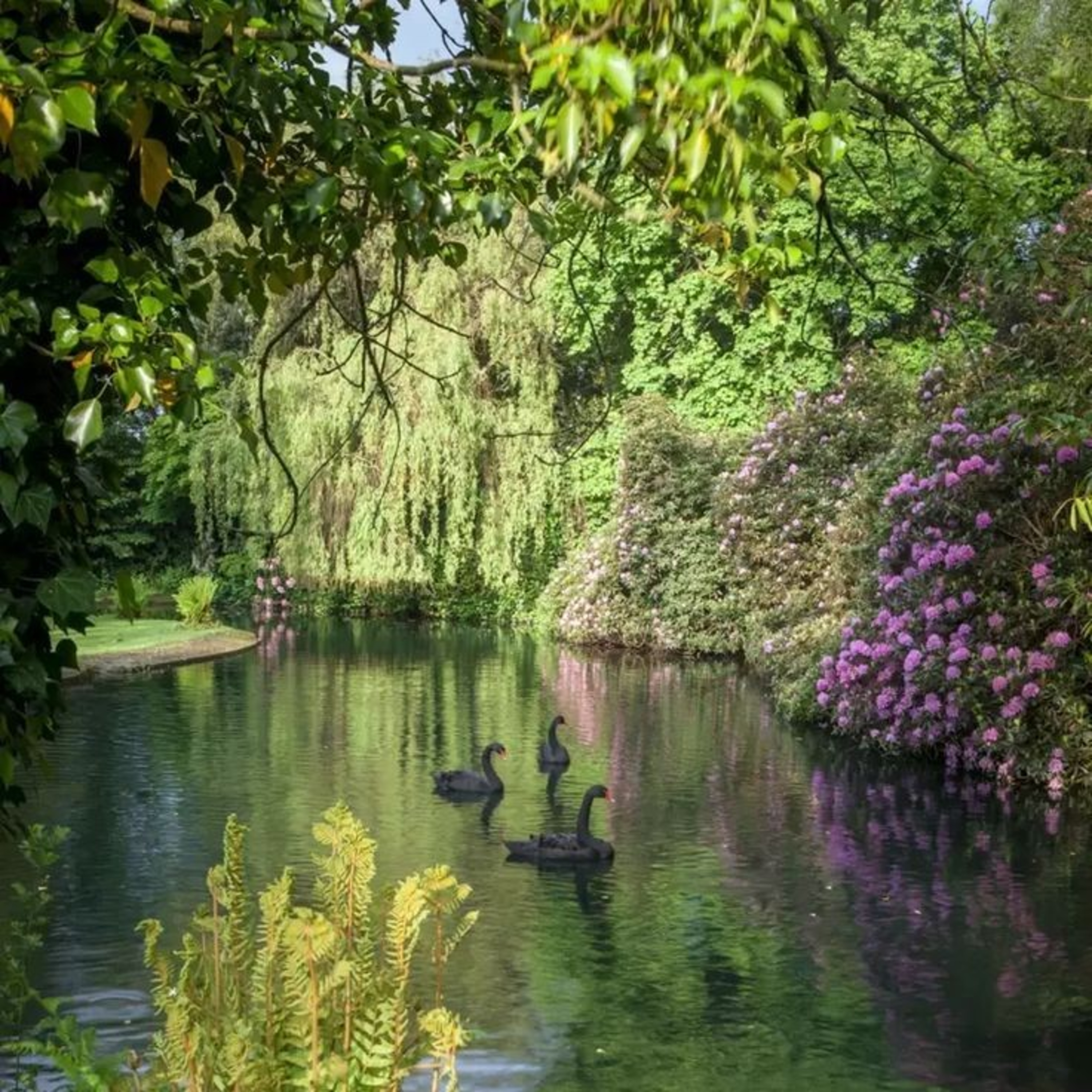 William Blake: "El jardín del amor" (Poema) episode artwork