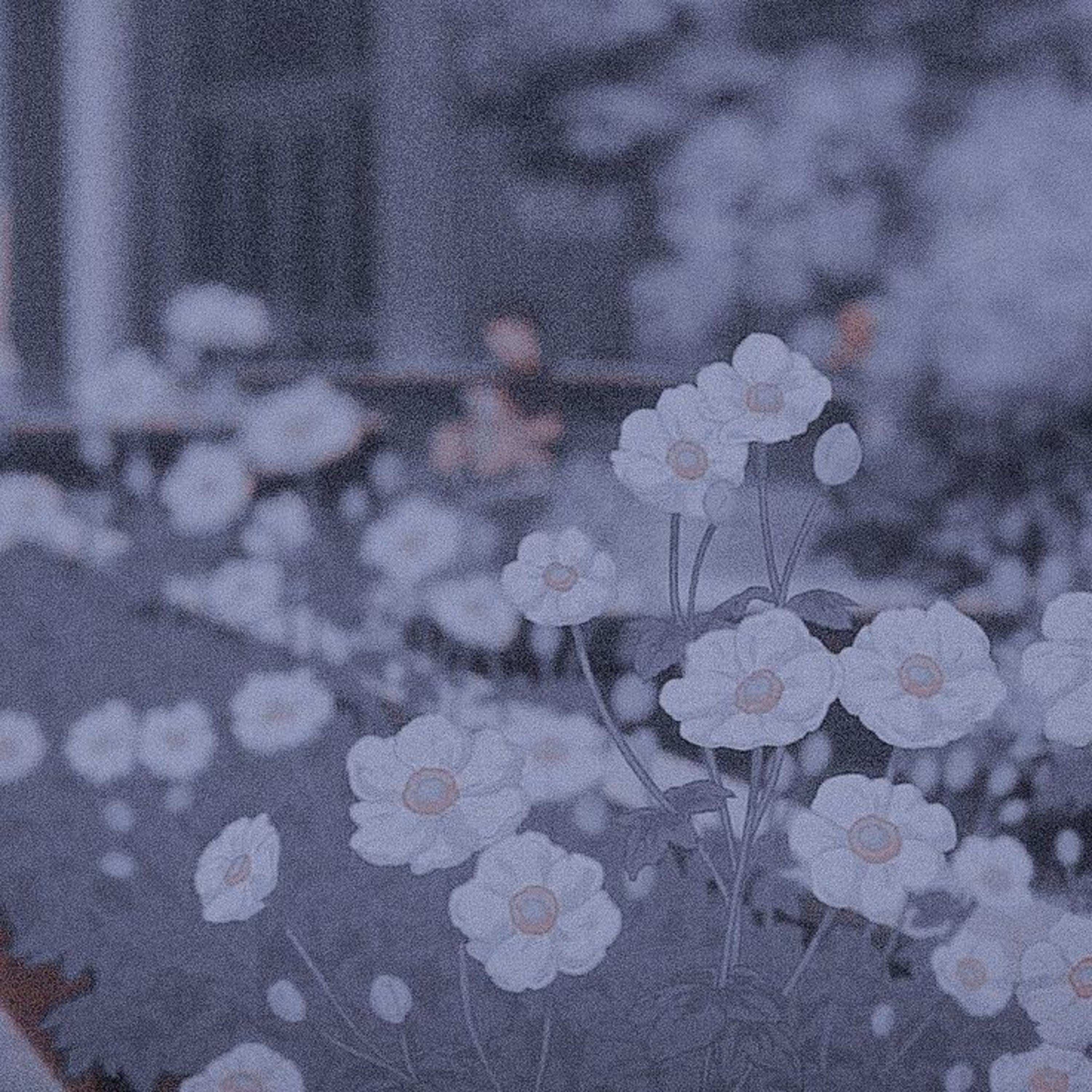 Hablemos De Amor Y Poesía