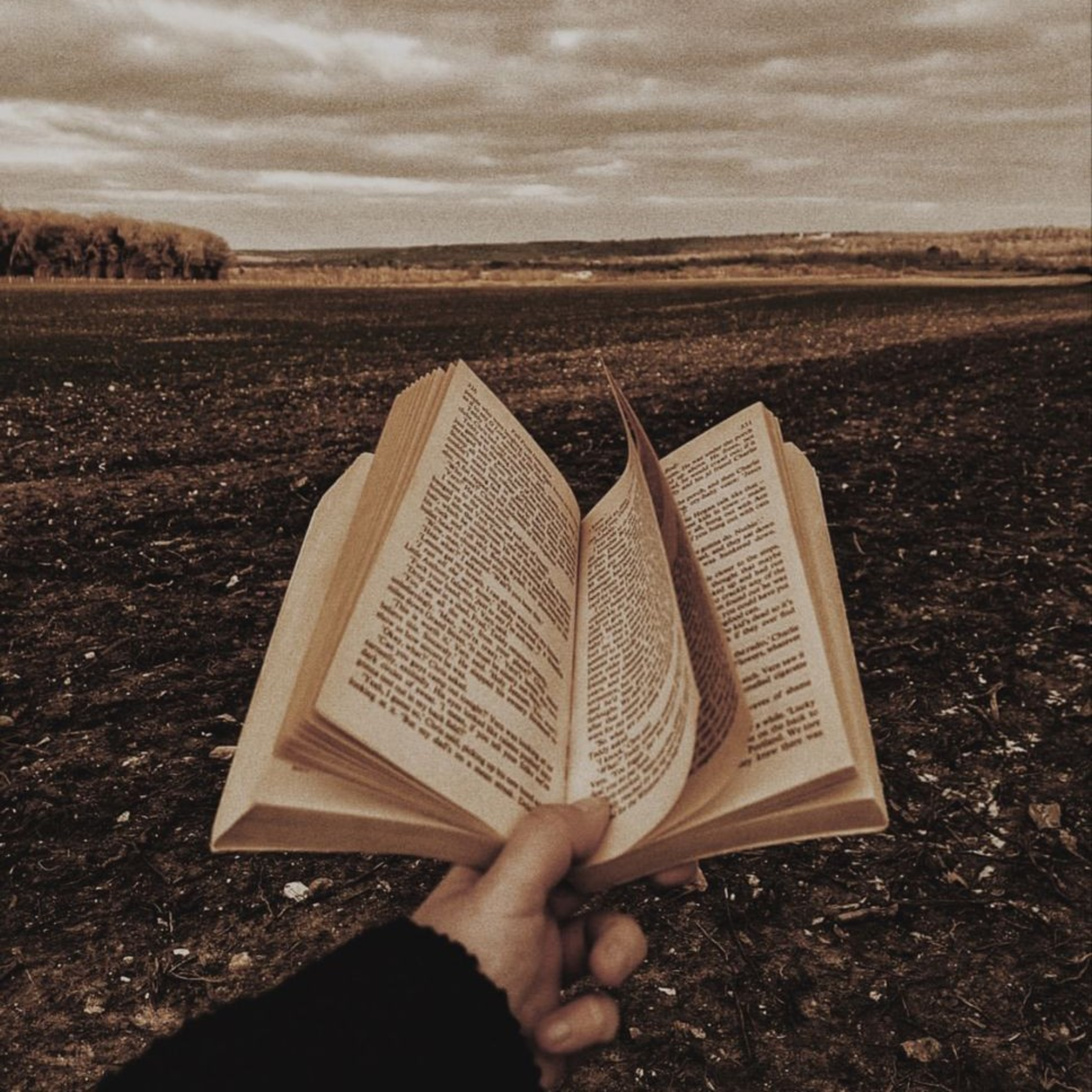 Recomendación de 4 libros de amor. (Clásicos de la literatura y algunas novelas) episode artwork