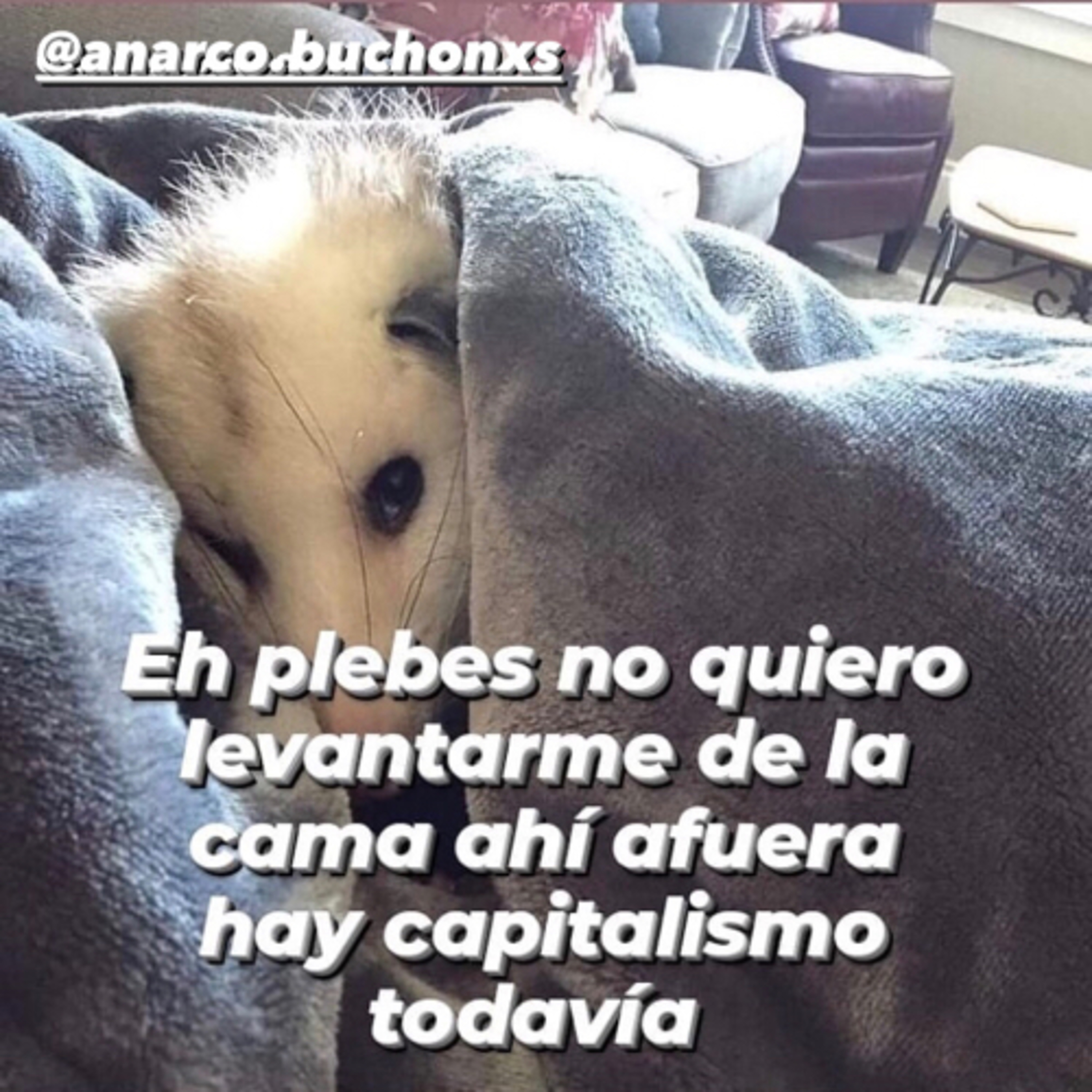 Mira, Oye y Siente