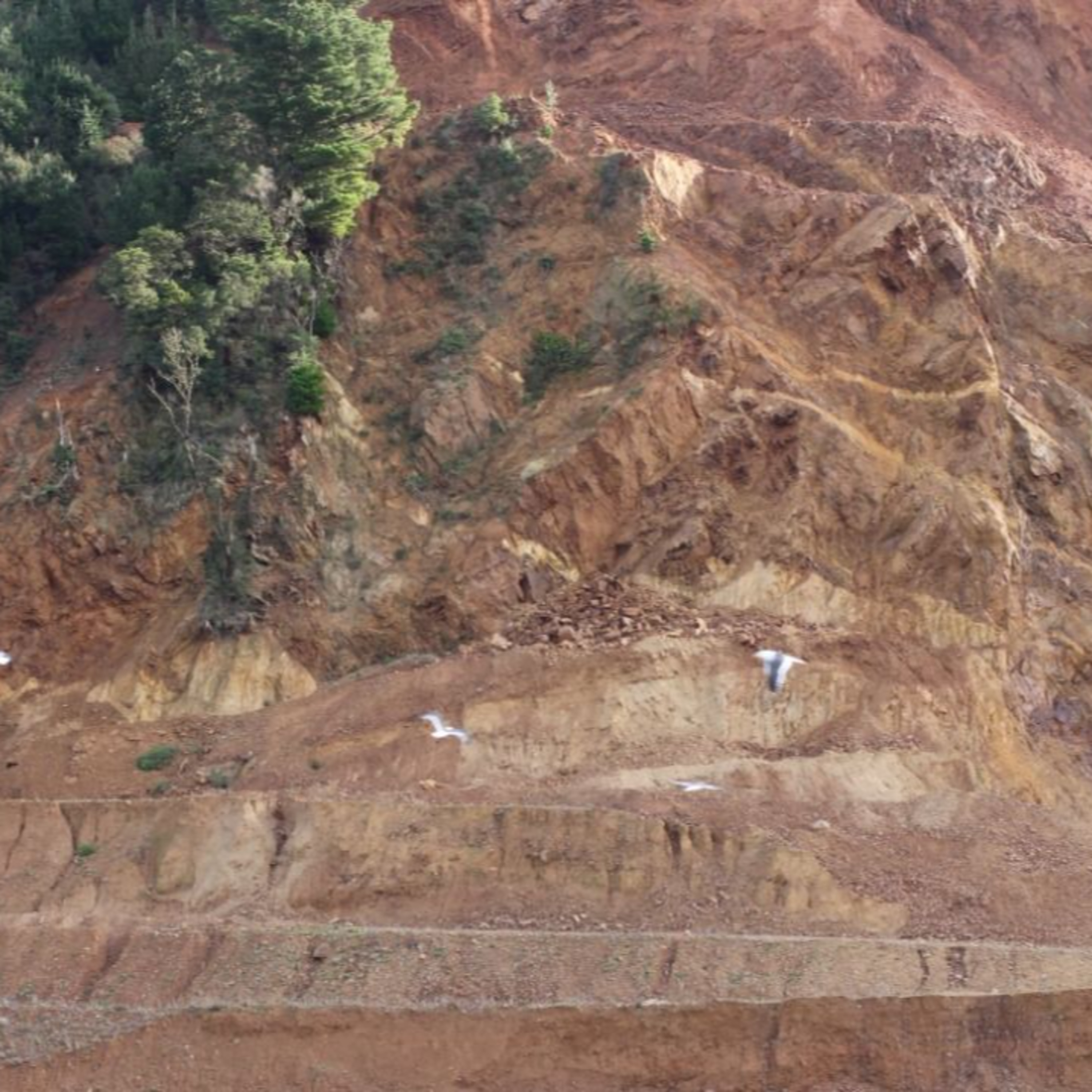 Crimen ambiental: Destrucción de playas en Tumbes episode artwork