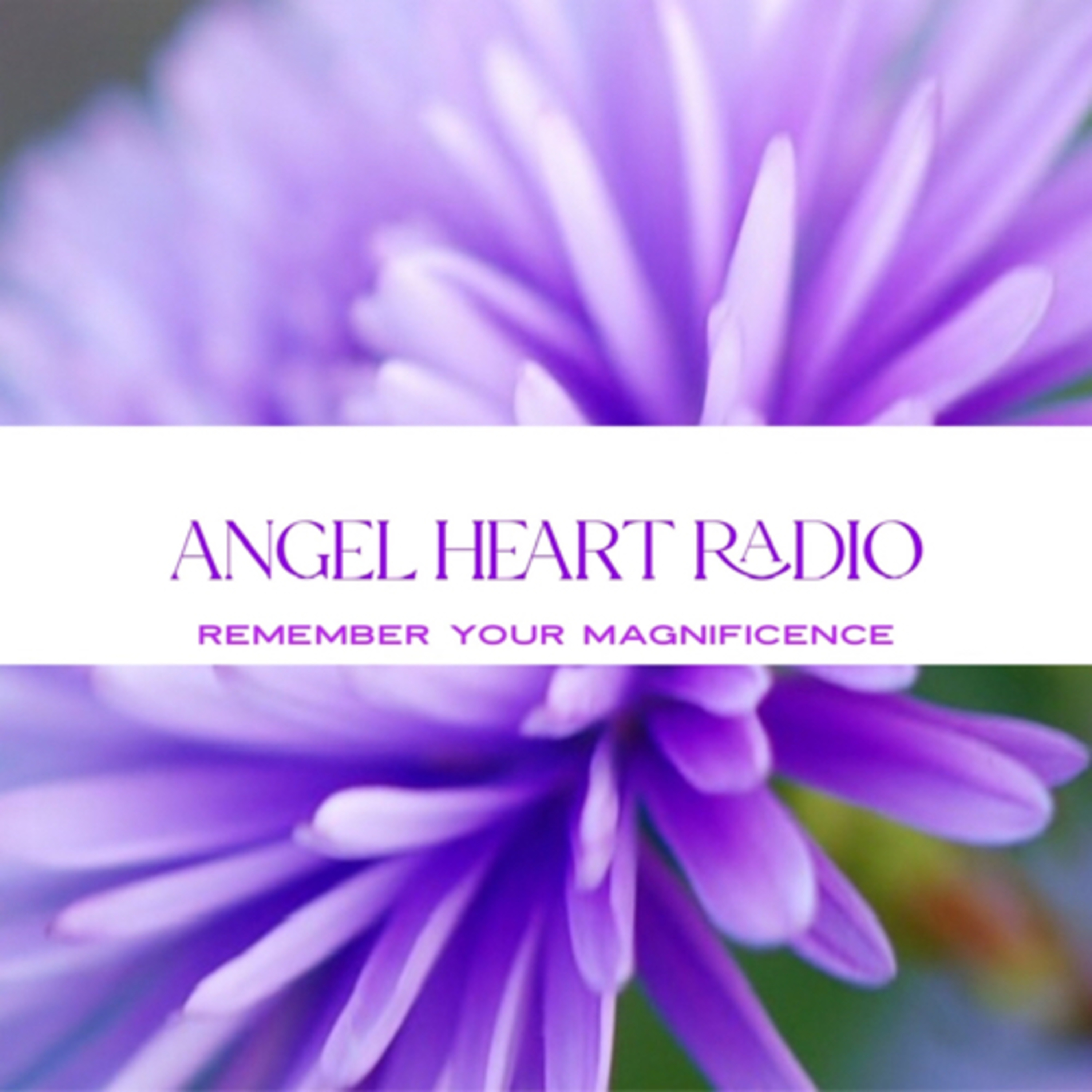 On Holiday With The Angels. Connect With The Archangel of Love episode artwork