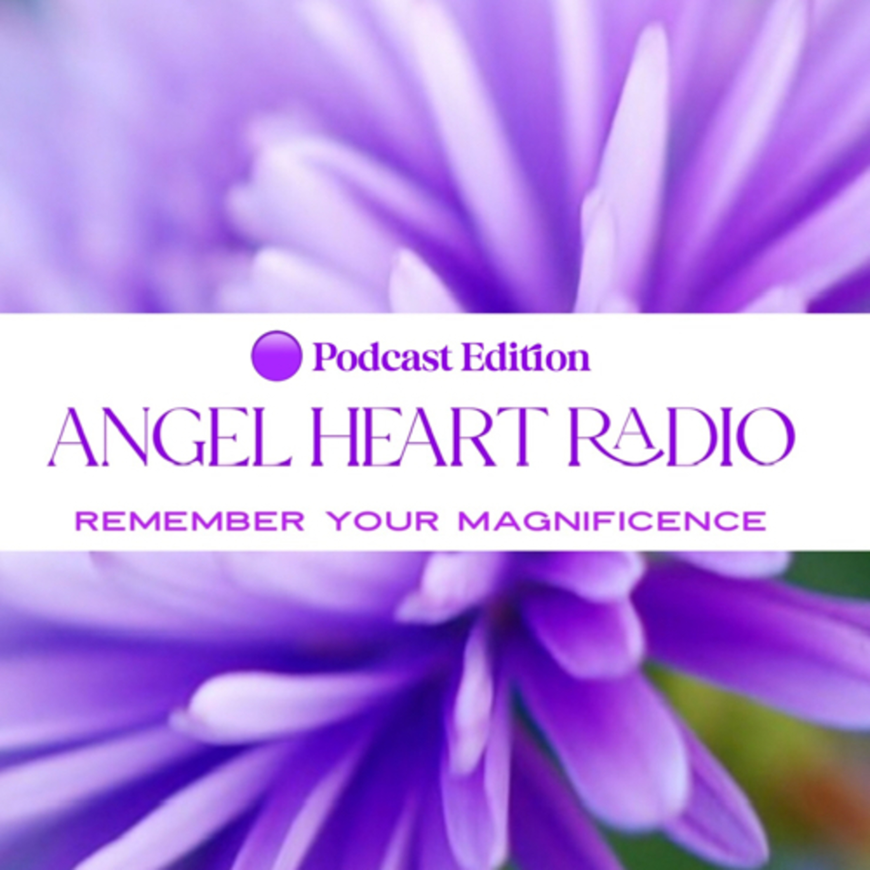 Relationship Values for Healthy Relationships.  episode artwork