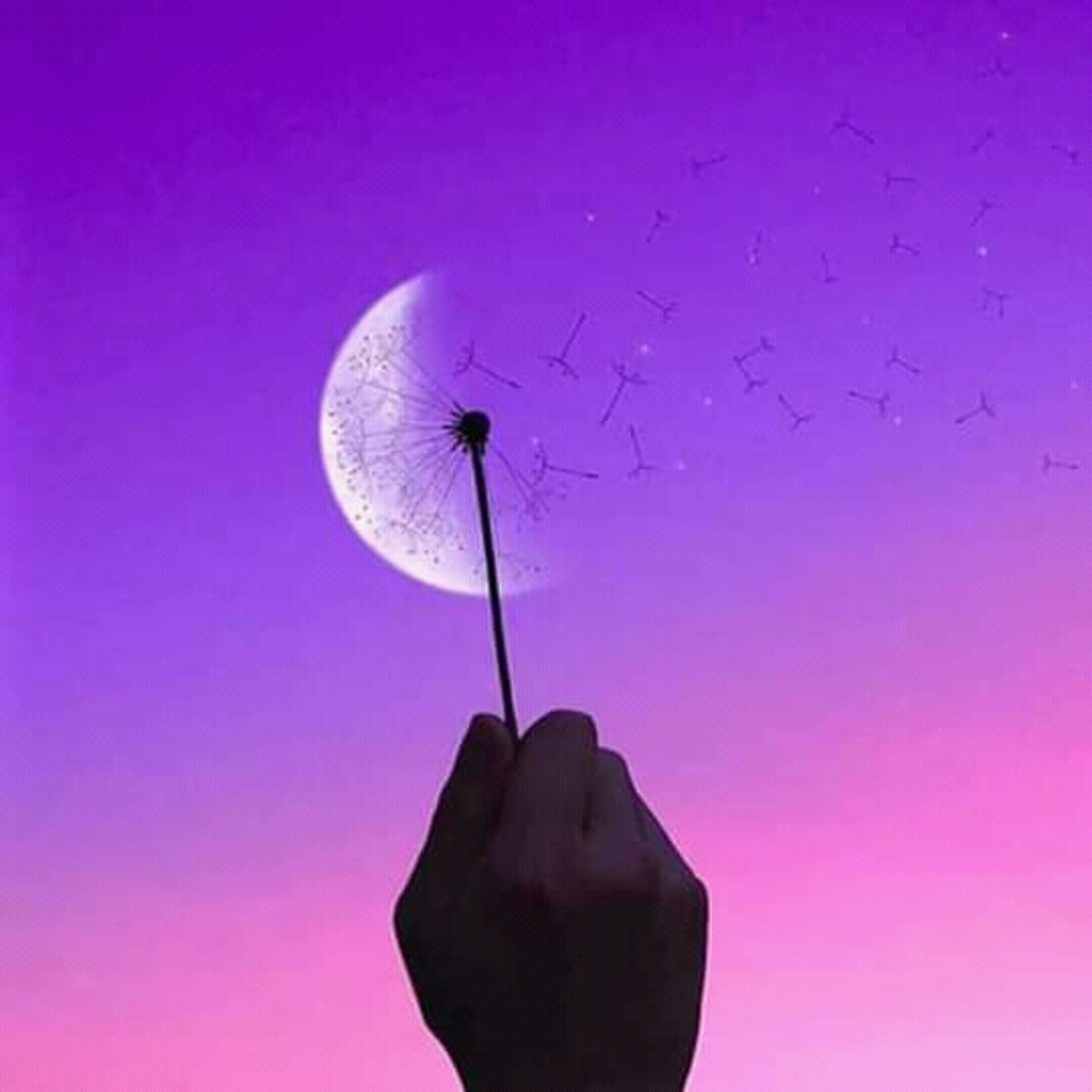 TU MOMENTO ES AHORA💪📌