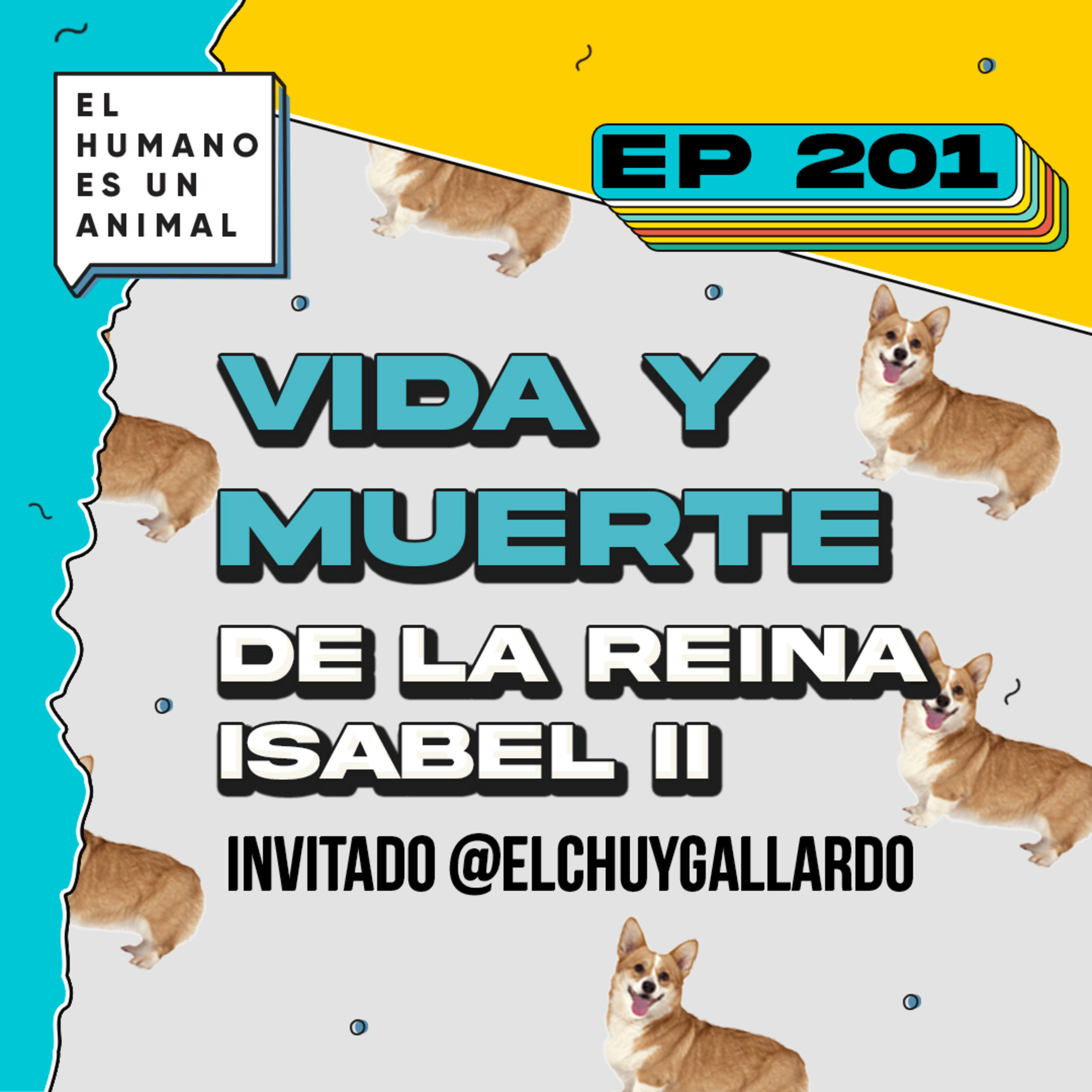 EL HUMANO ES UN ANIMAL