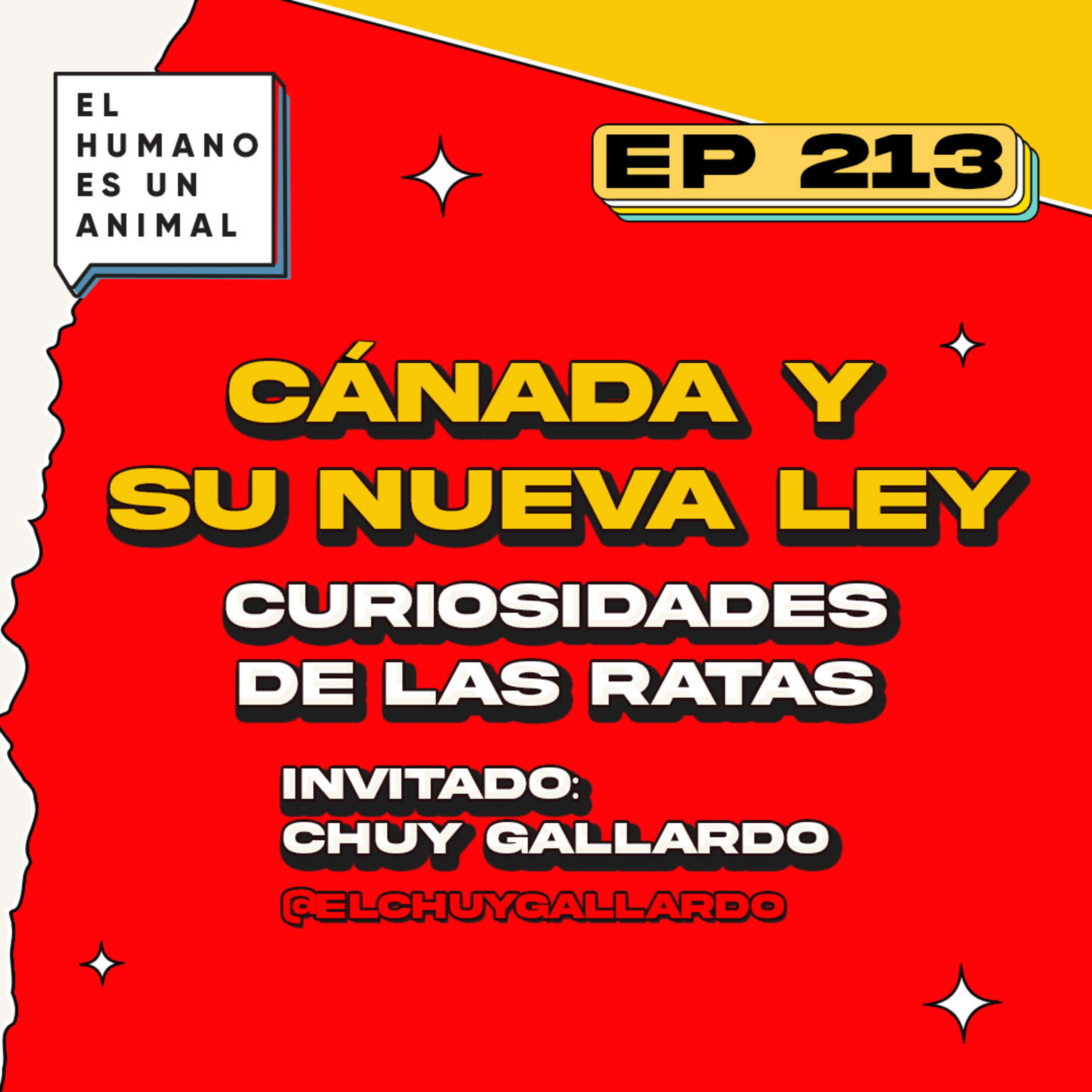 EL HUMANO ES UN ANIMAL