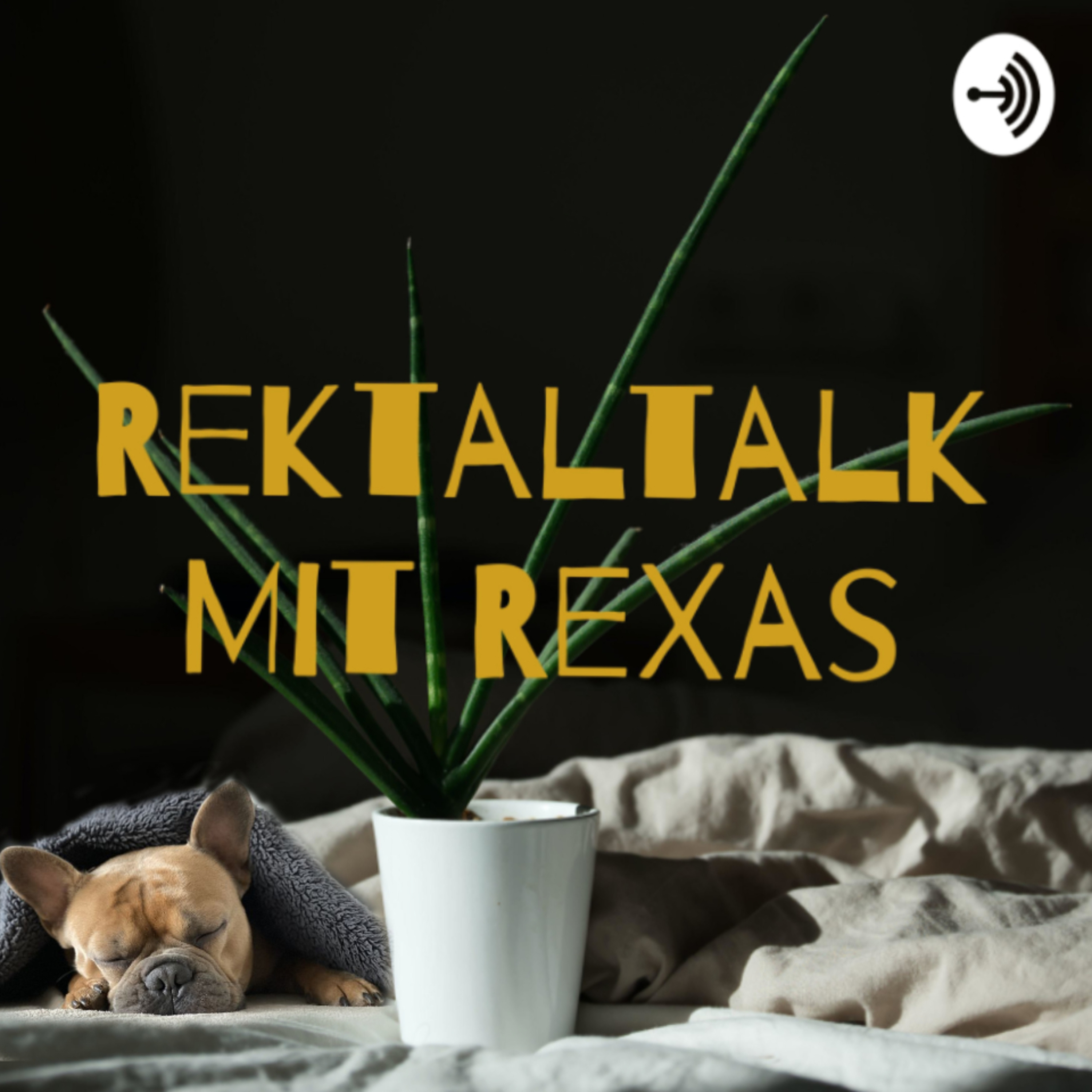 Rektaltalk Mit ReXas