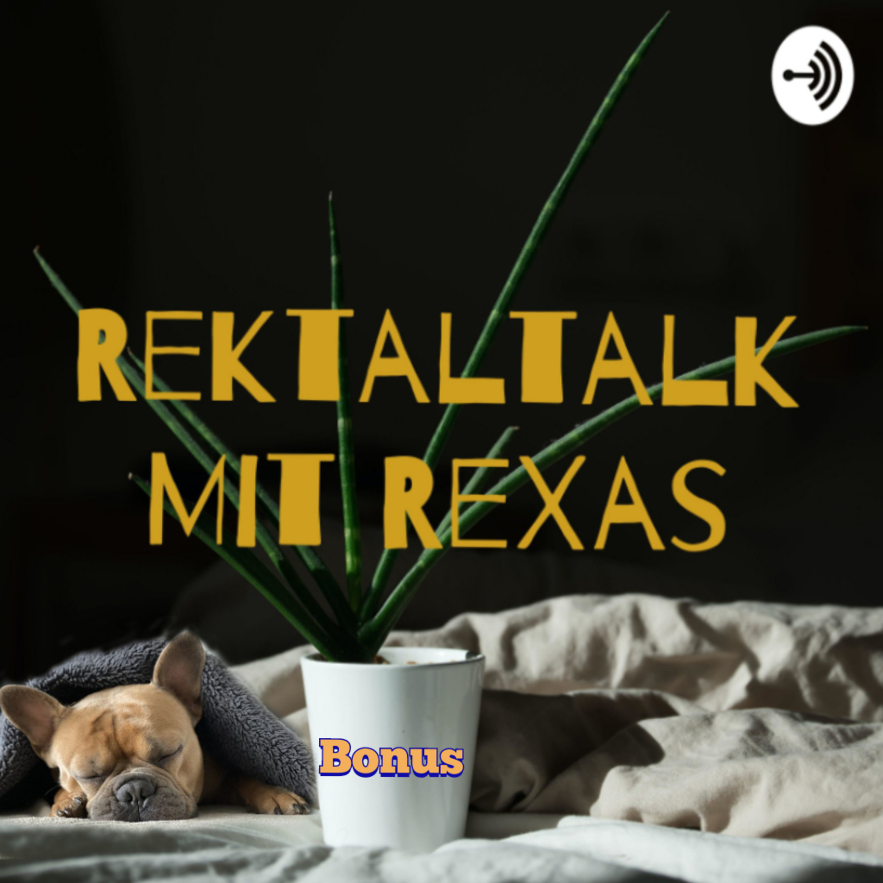 Rektaltalk Mit ReXas