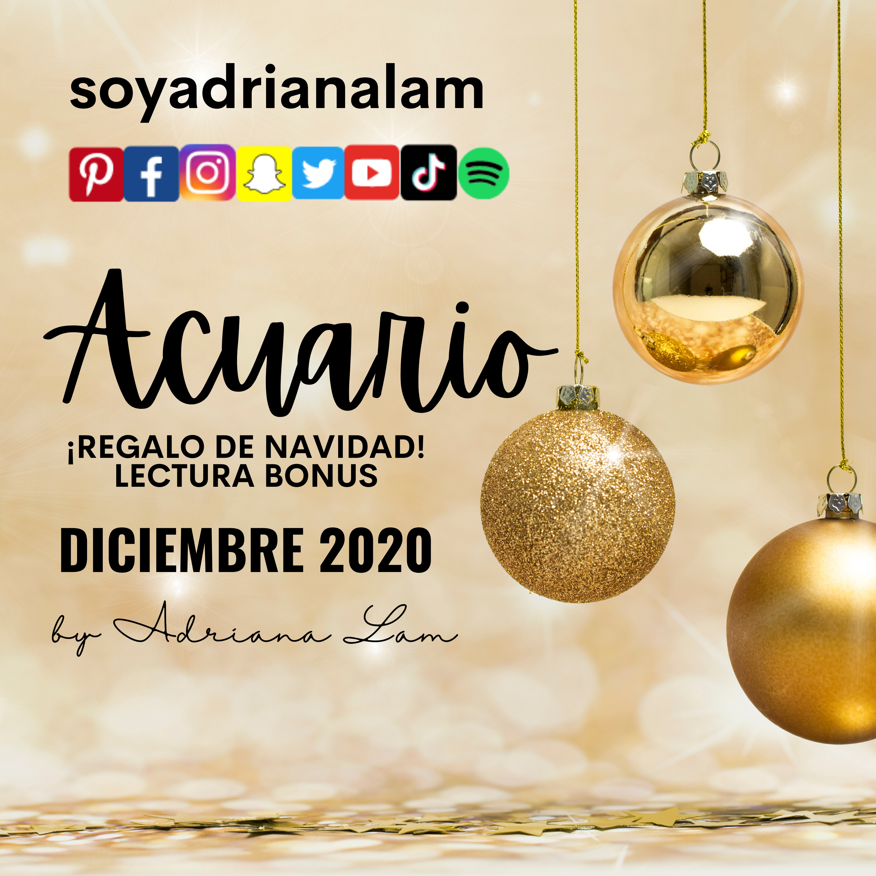 soyadrianalam