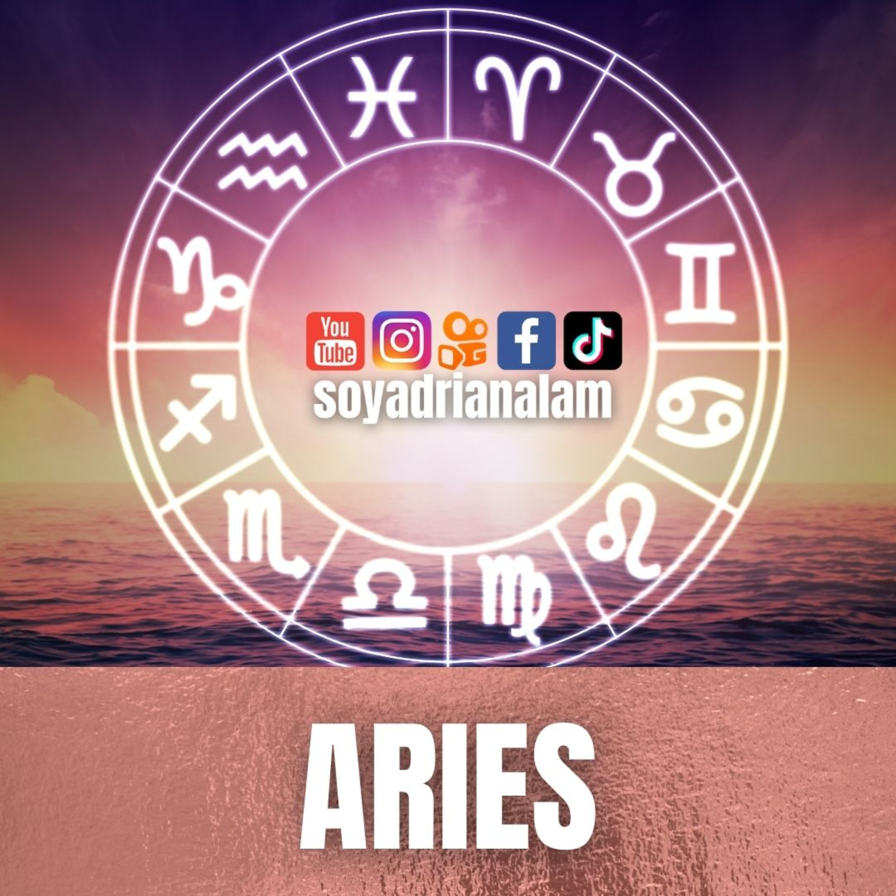 soyadrianalam