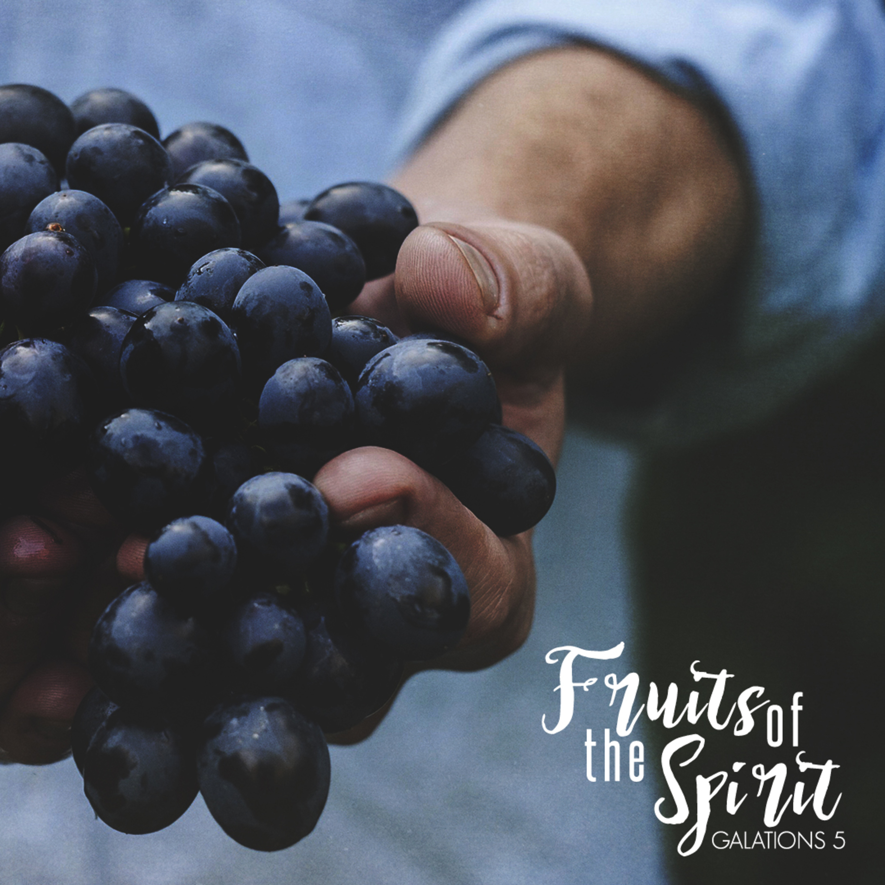 Fruit of the Spirit (Part 1): Intro