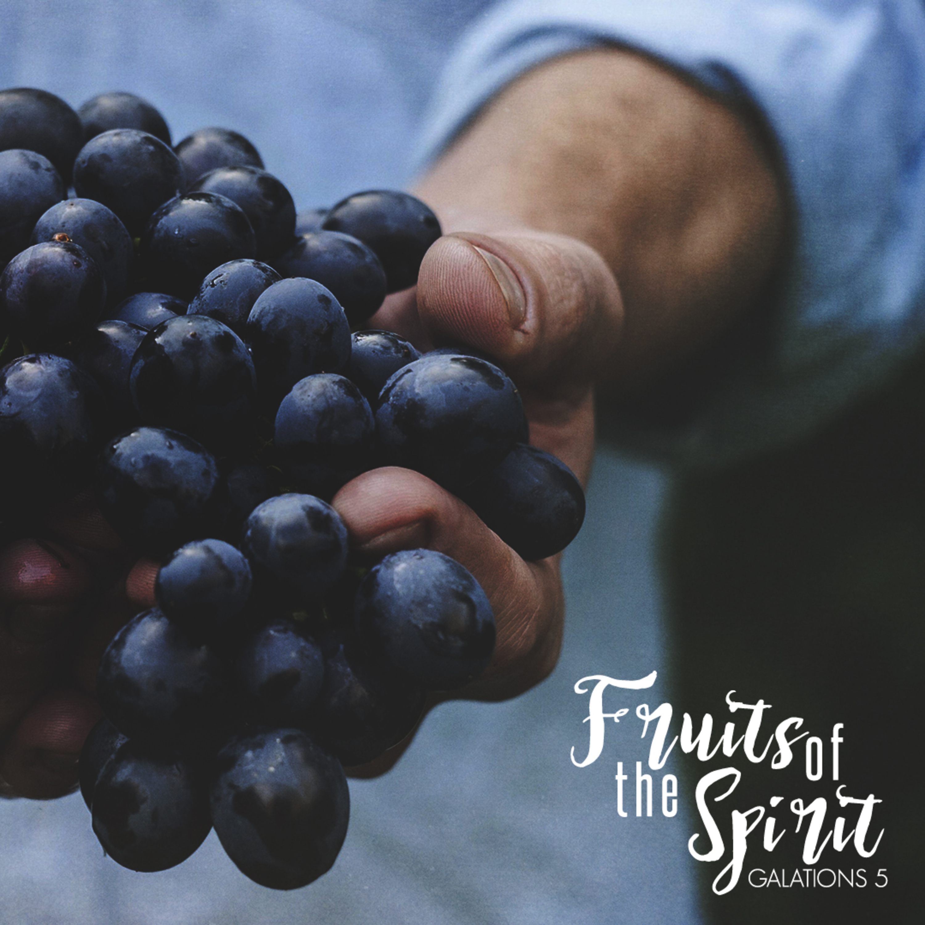 Fruit of the Spirit (Part 7): Integrity episode artwork