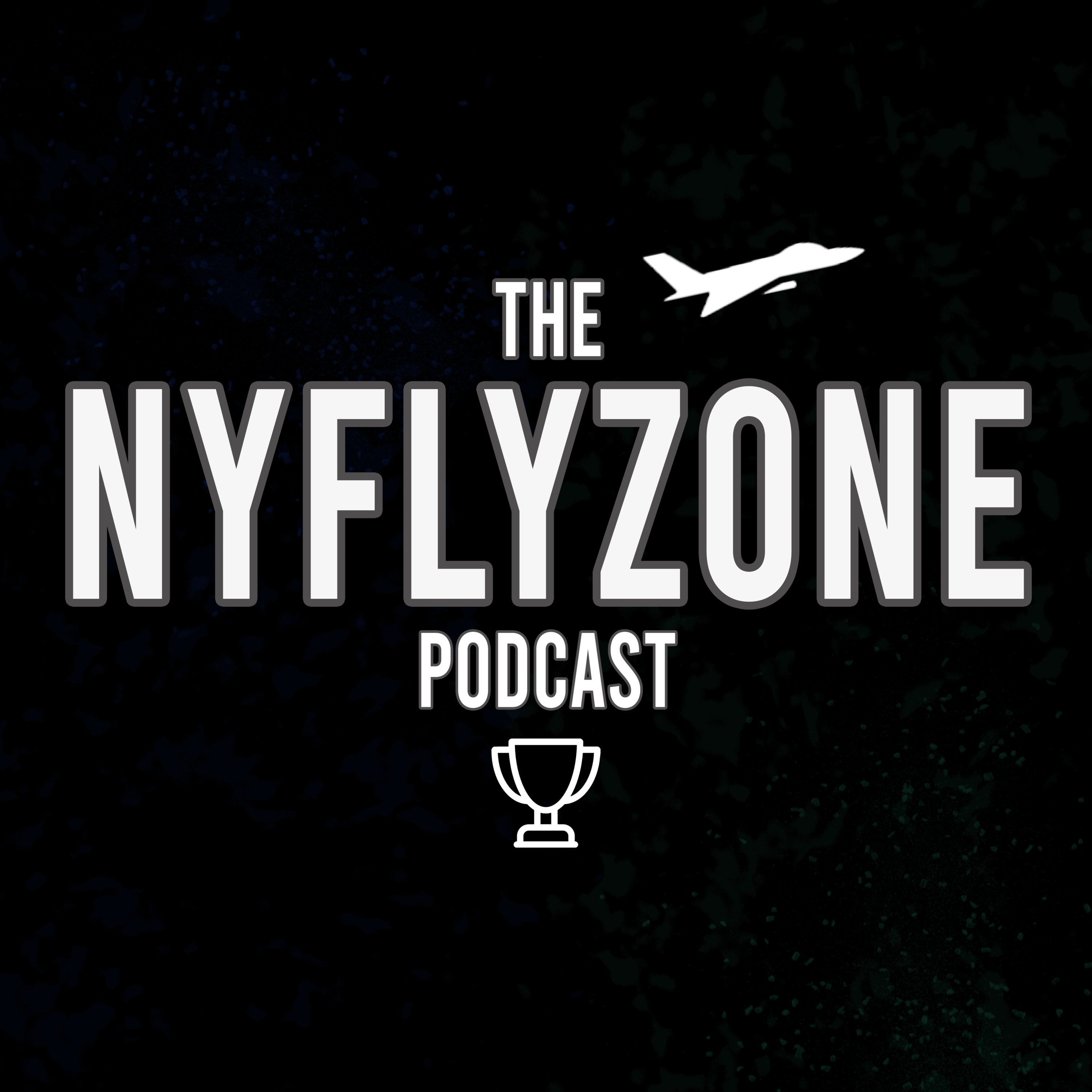 NYFlyZone