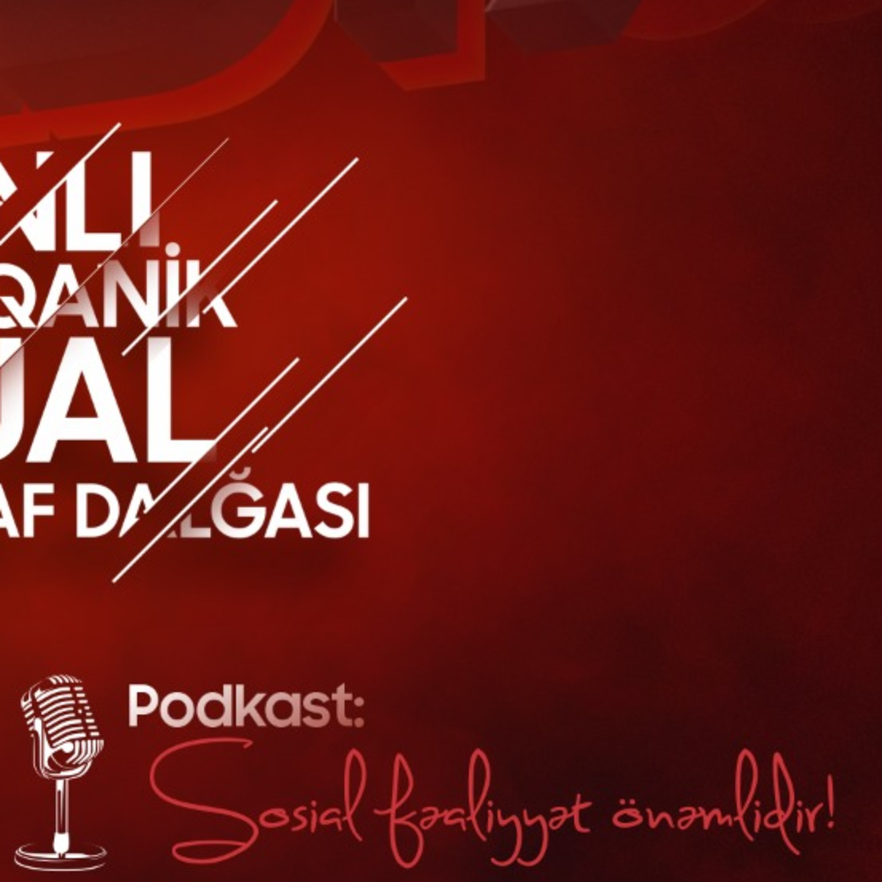  Sosial fəaliyyət önəmlidir - Asəf Zeynal episode artwork