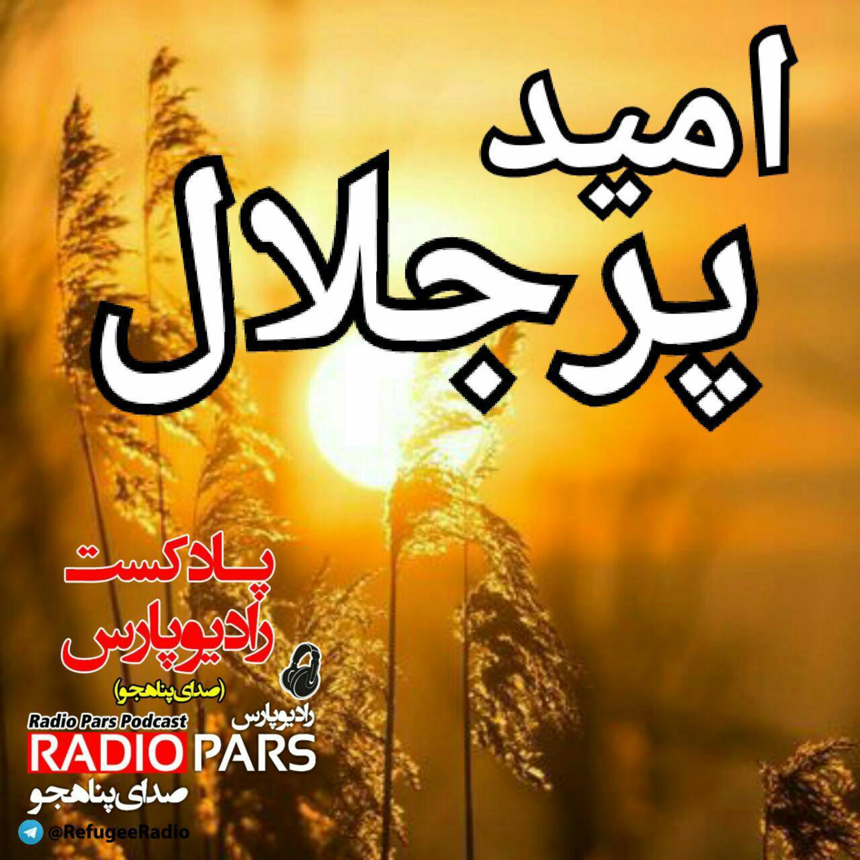 کاور اميد پرجلال