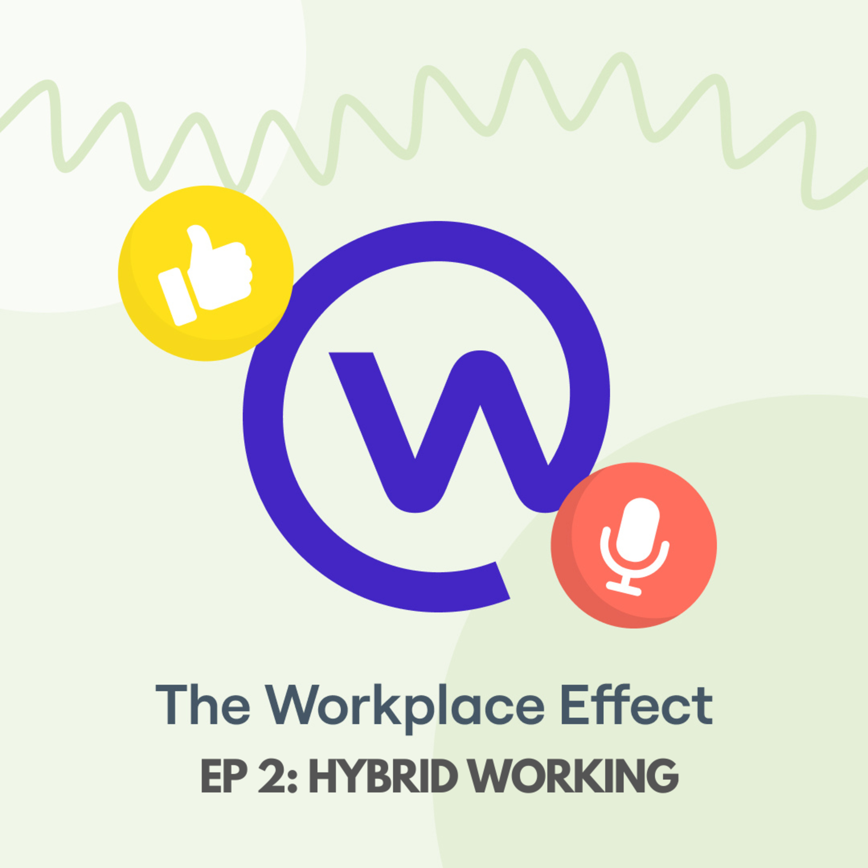 The Workplace Effect