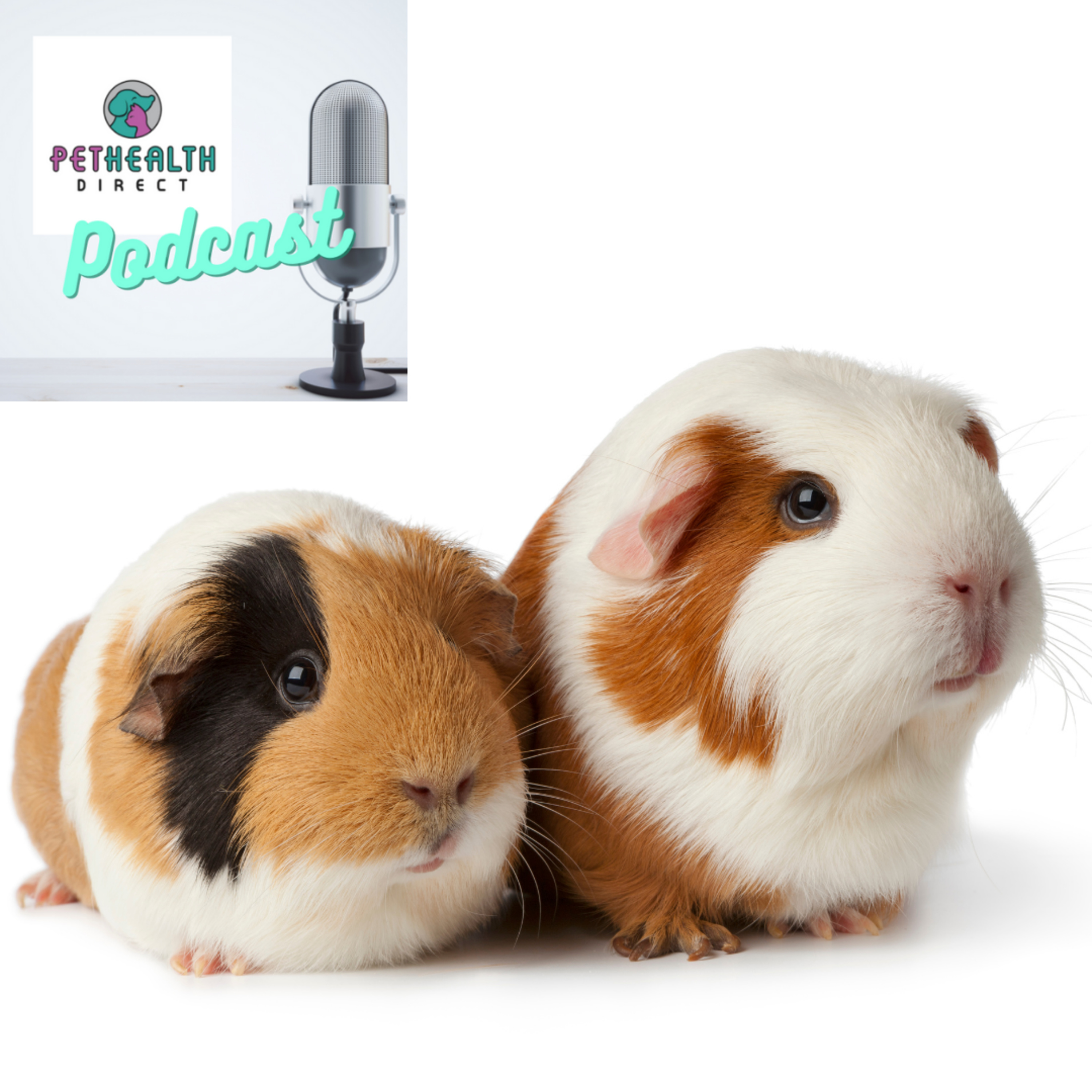 Pet Health Direct