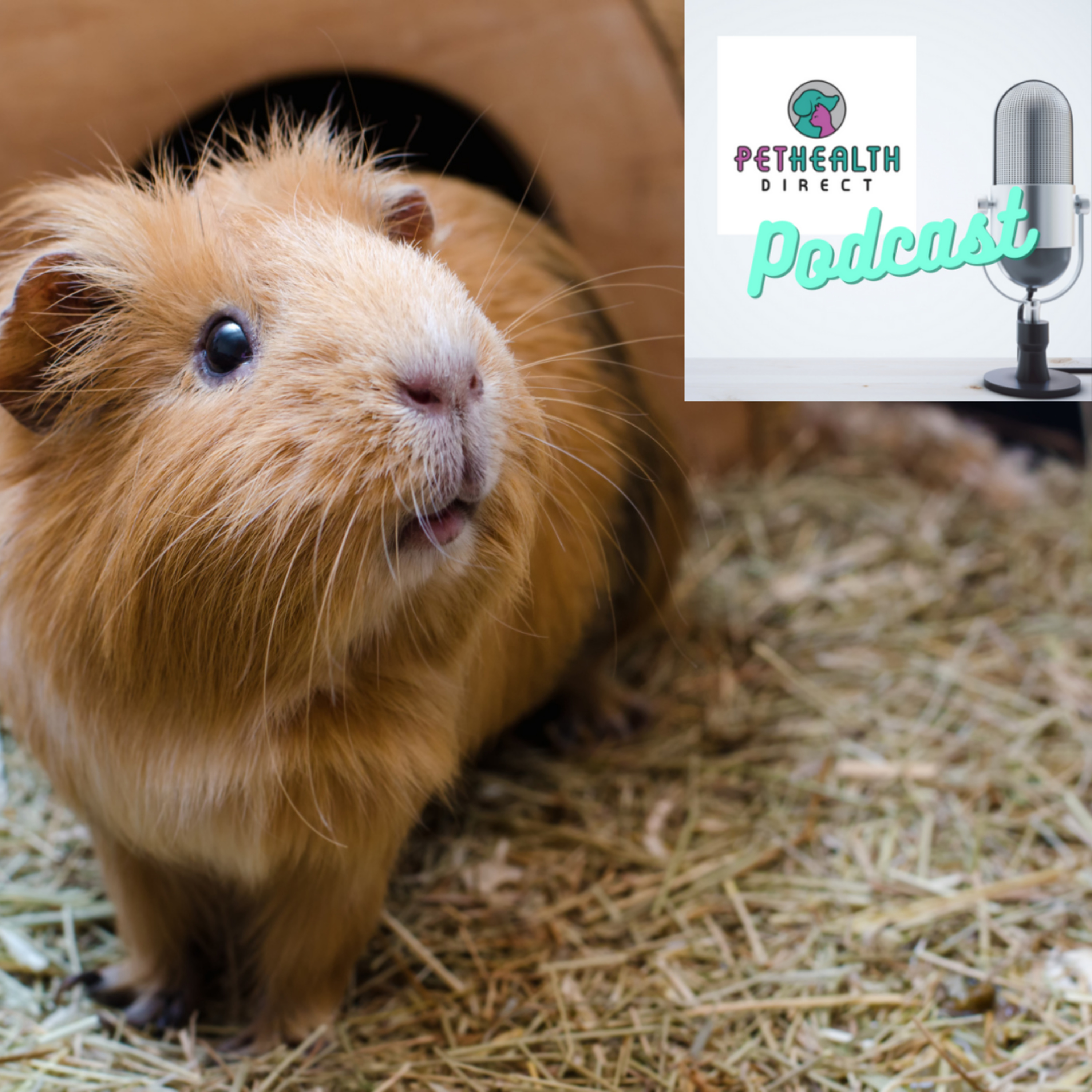 Pet Health Direct