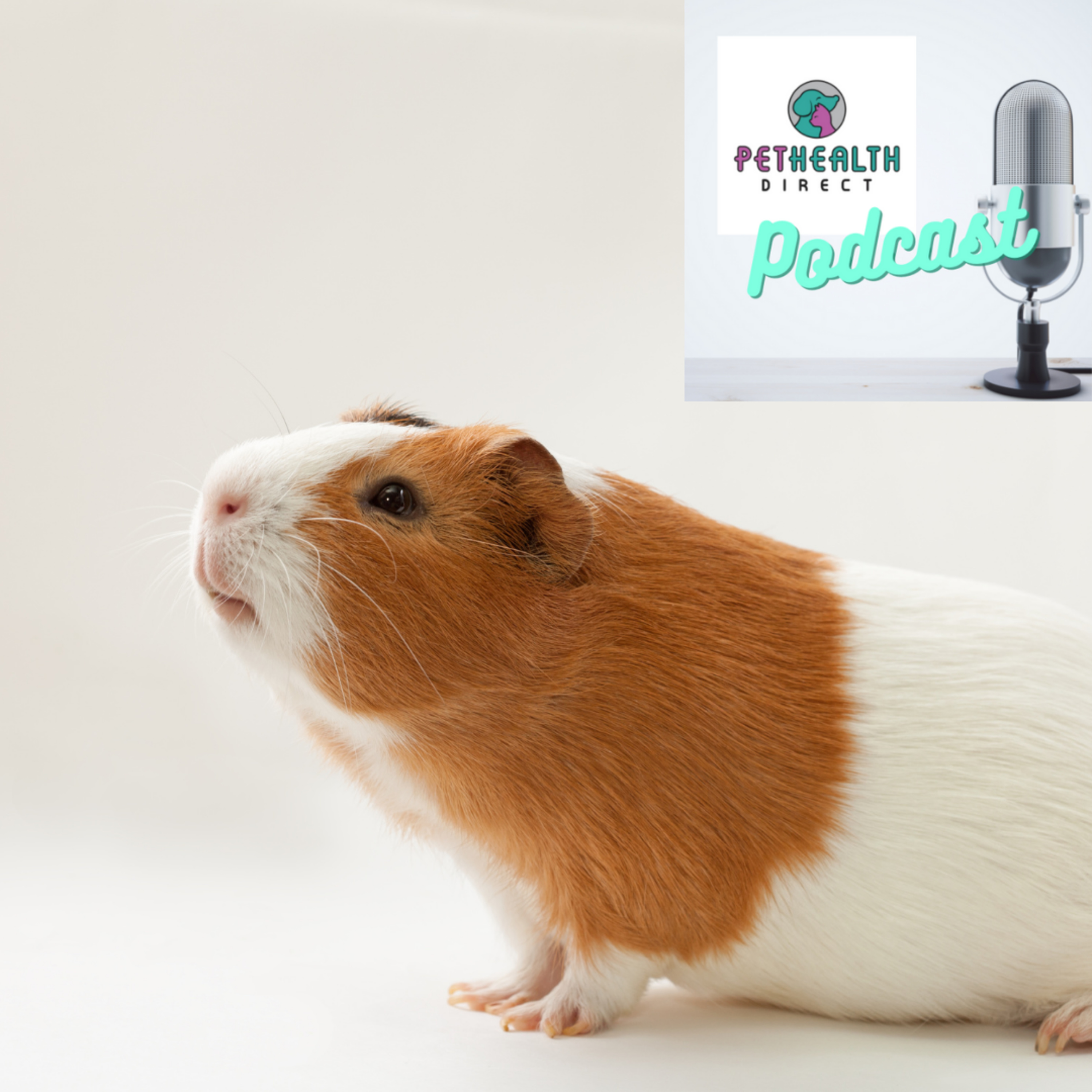 Pet Health Direct