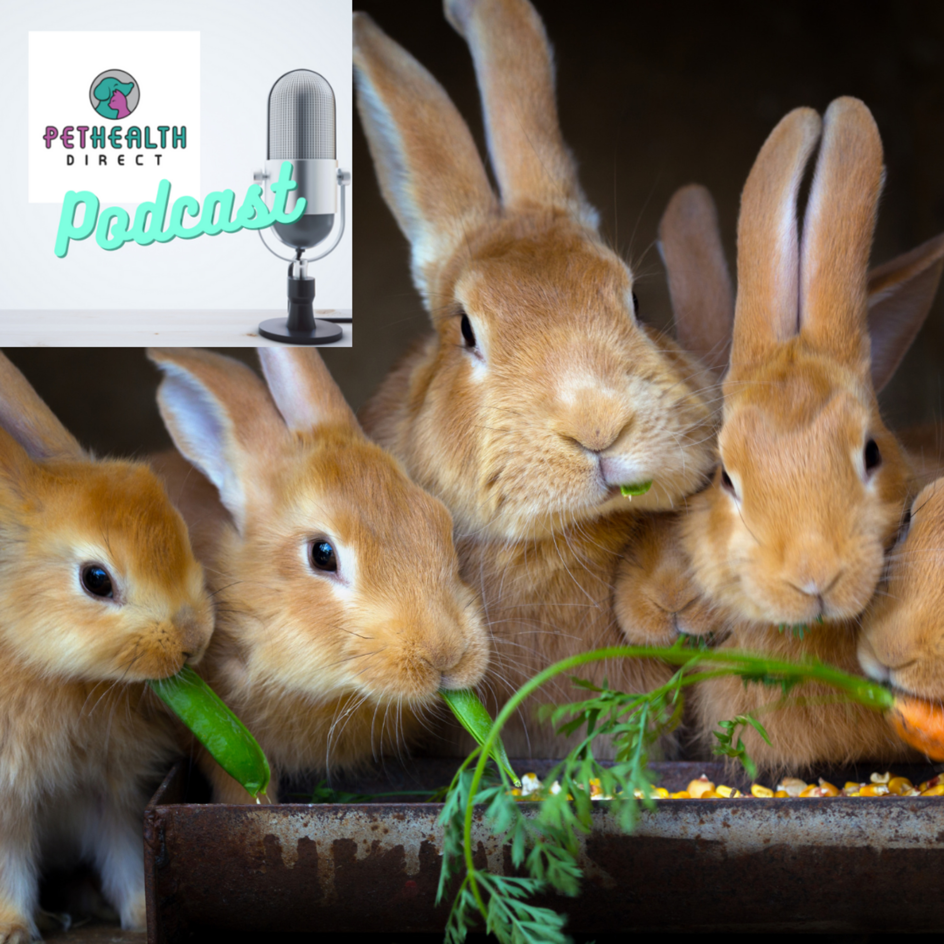 Pet Health Direct