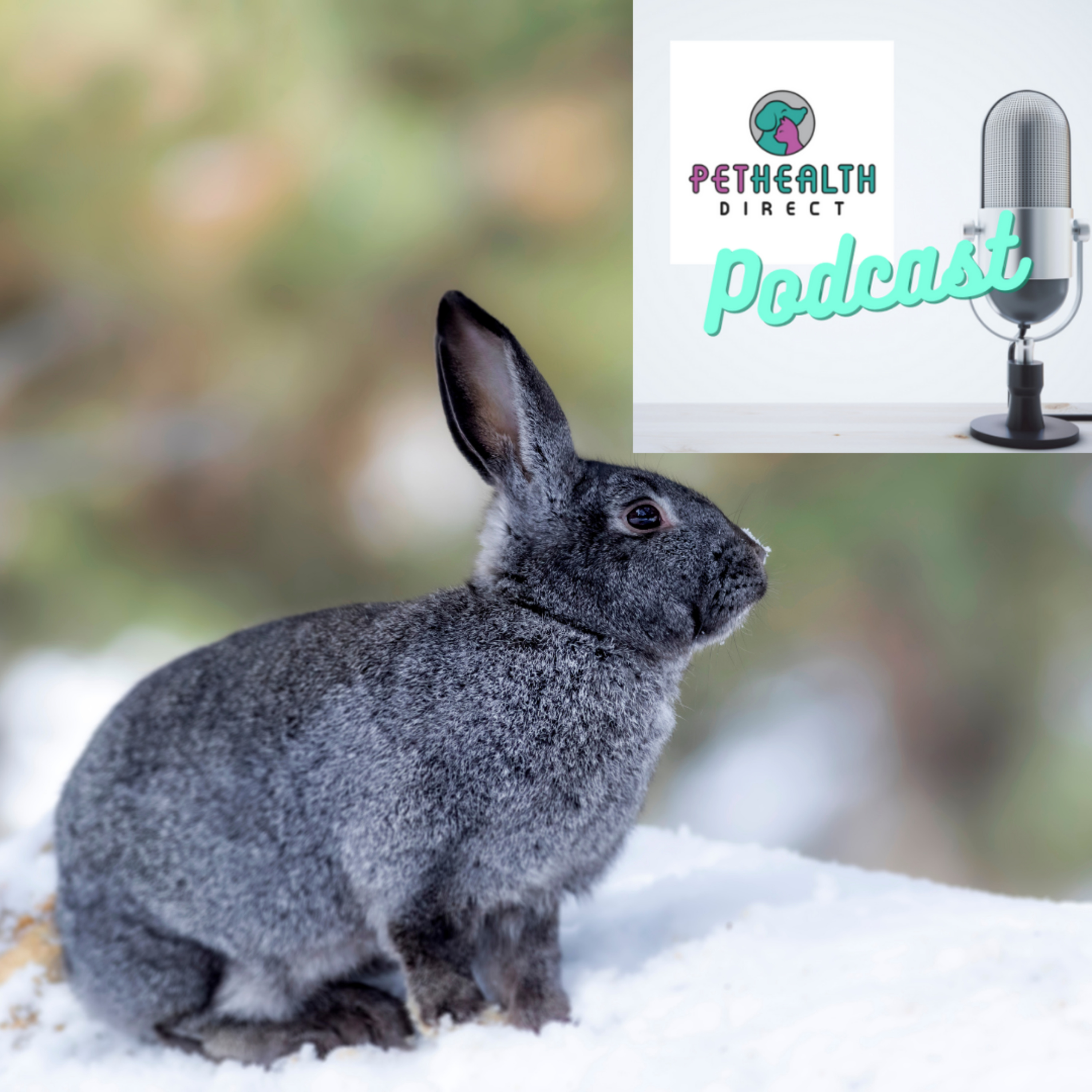 Pet Health Direct