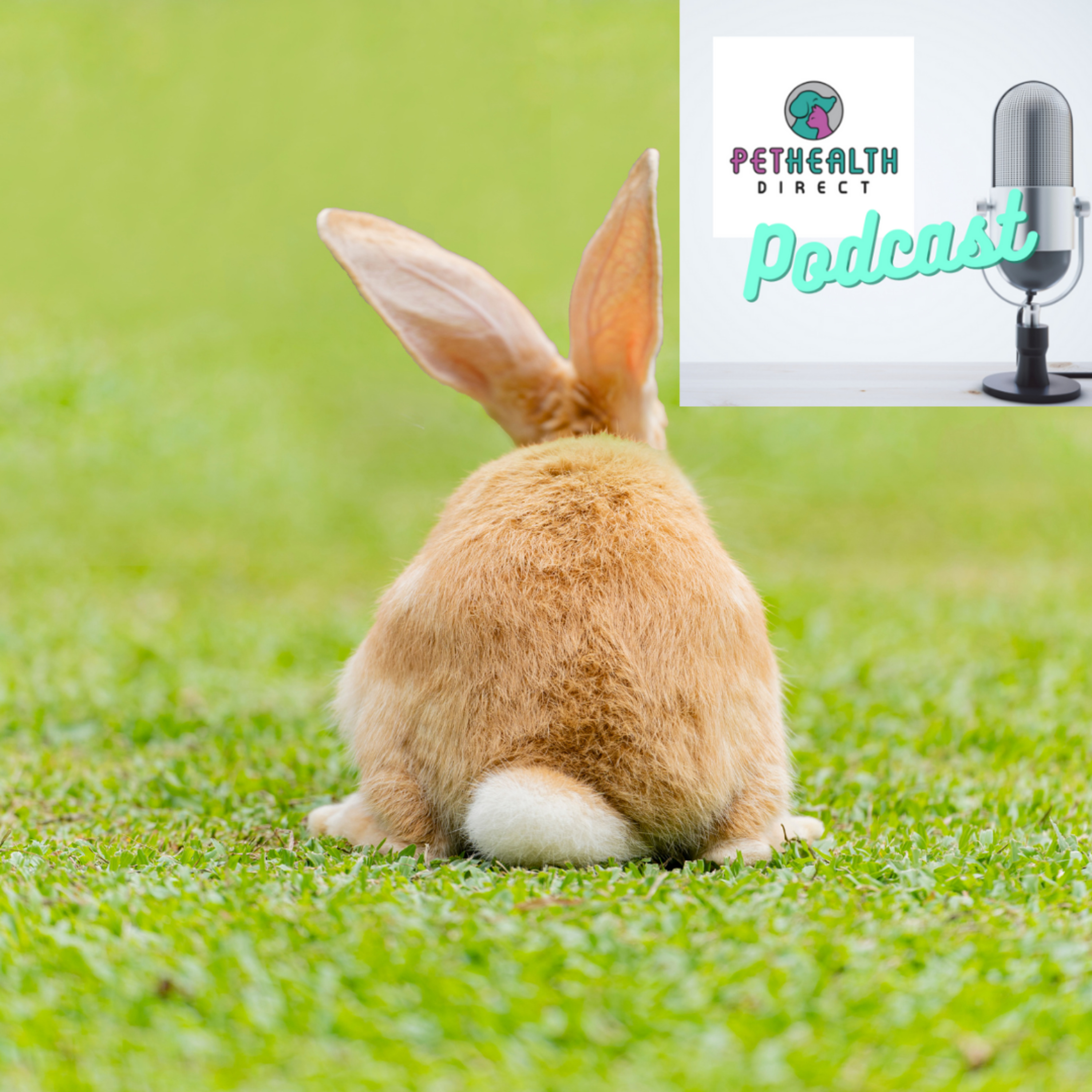 Pet Health Direct