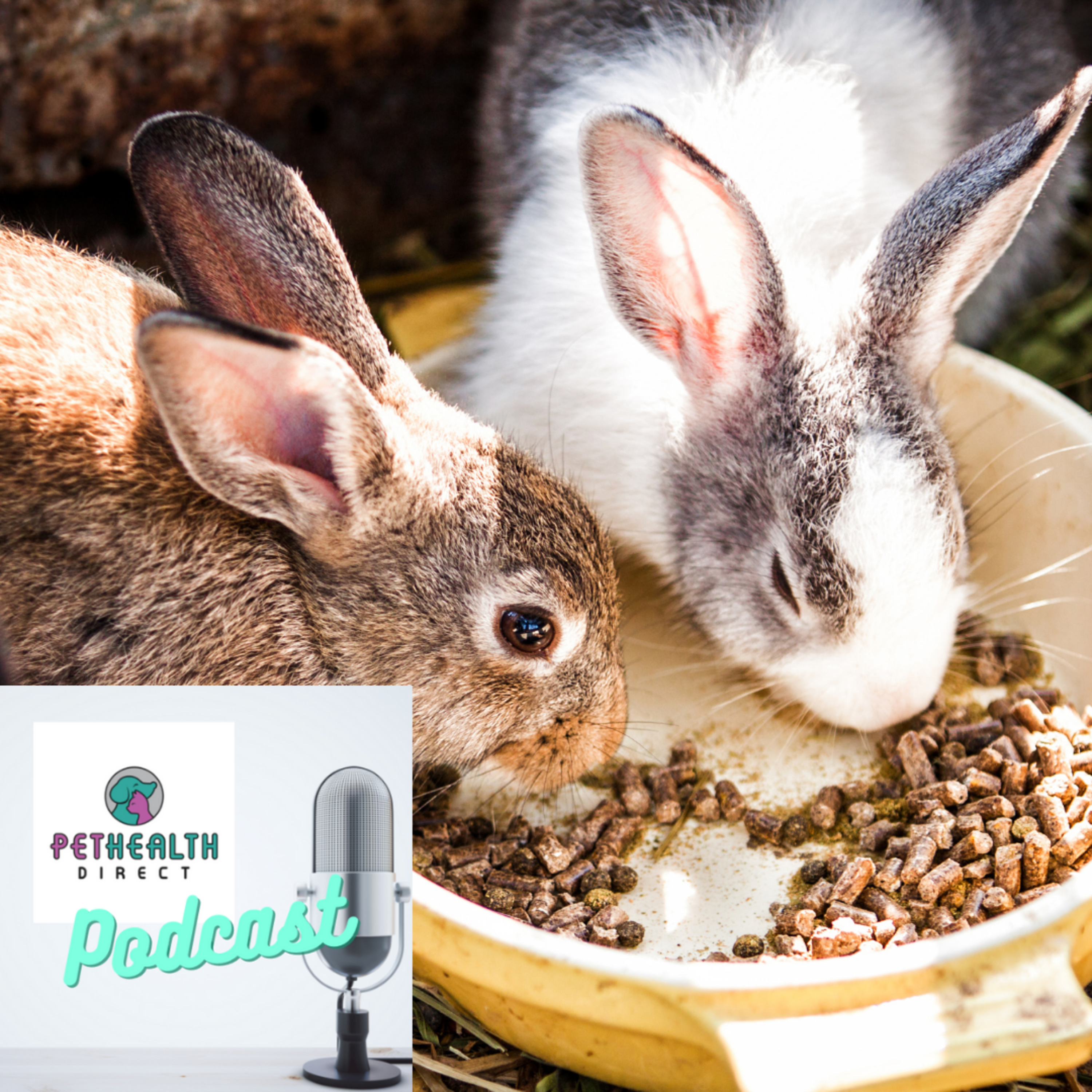 Pet Health Direct