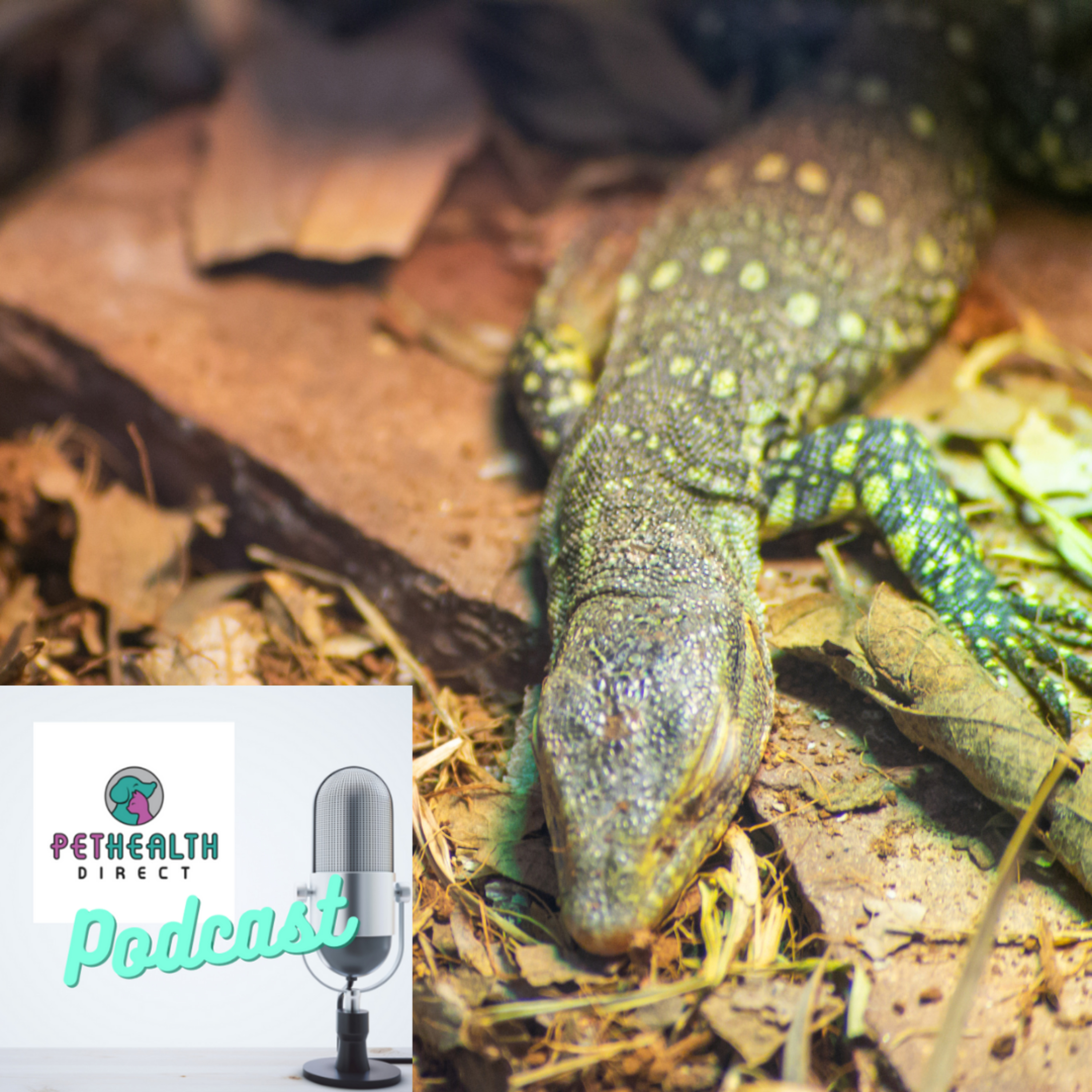 Pet Health Direct