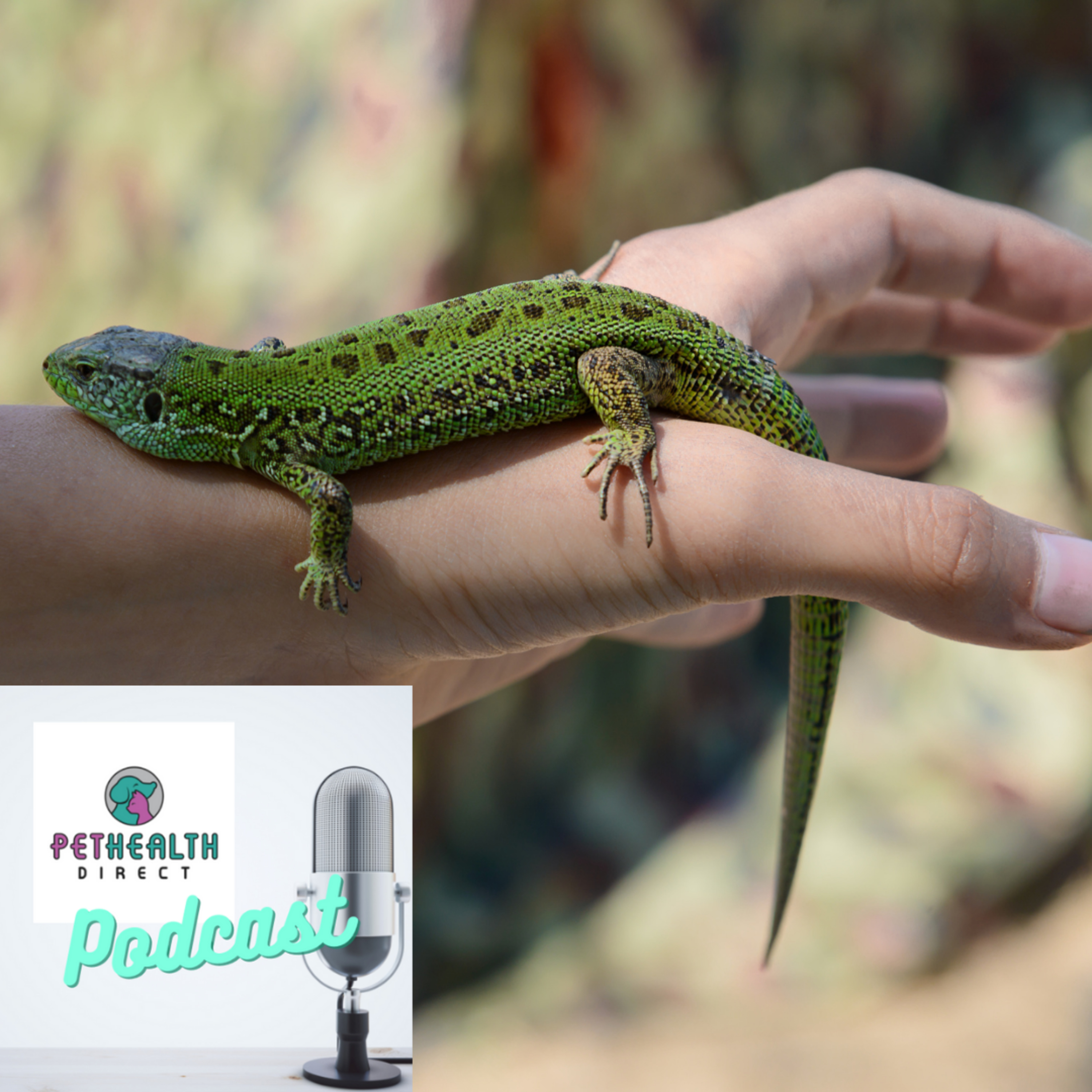 Pet Health Direct