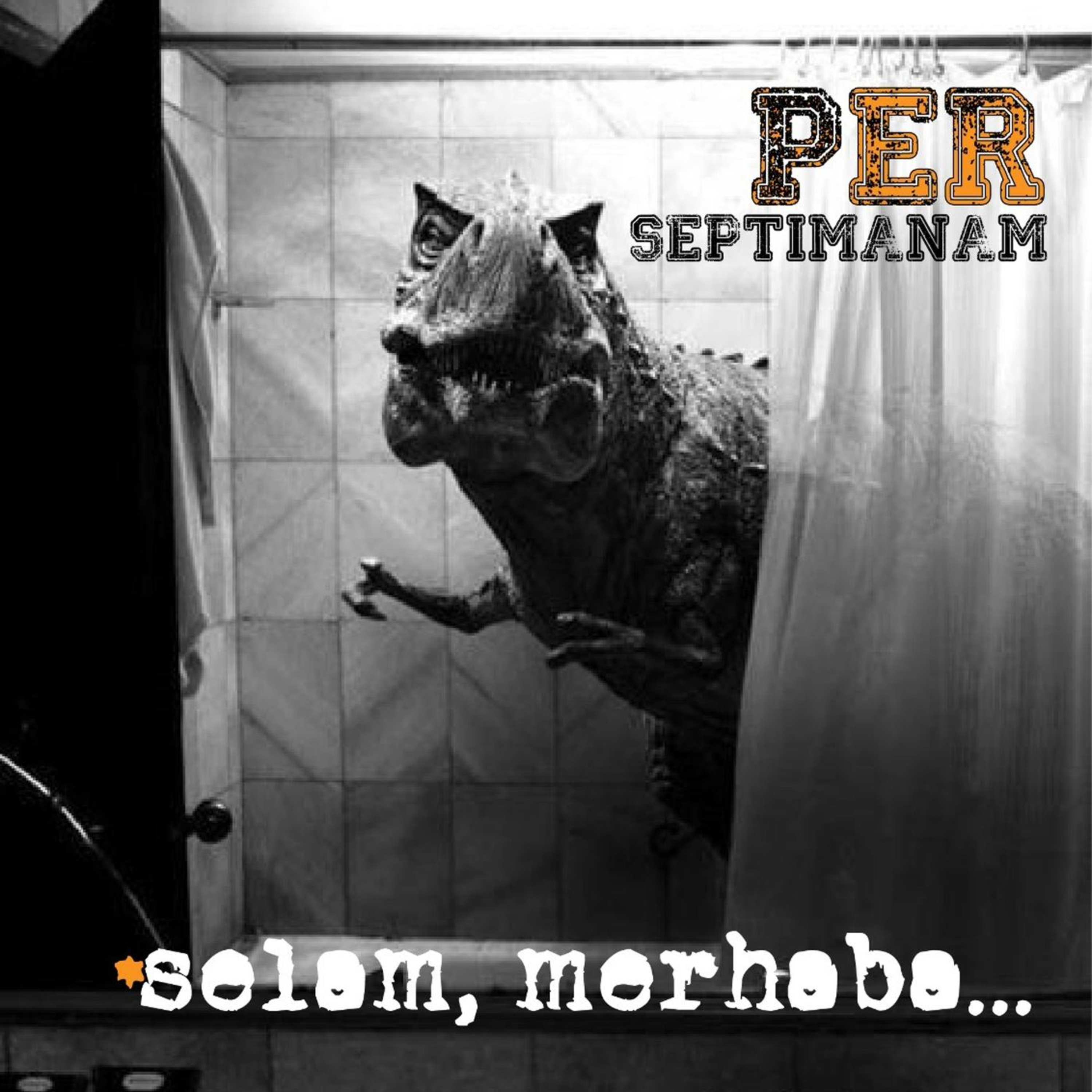 Per Septimanam