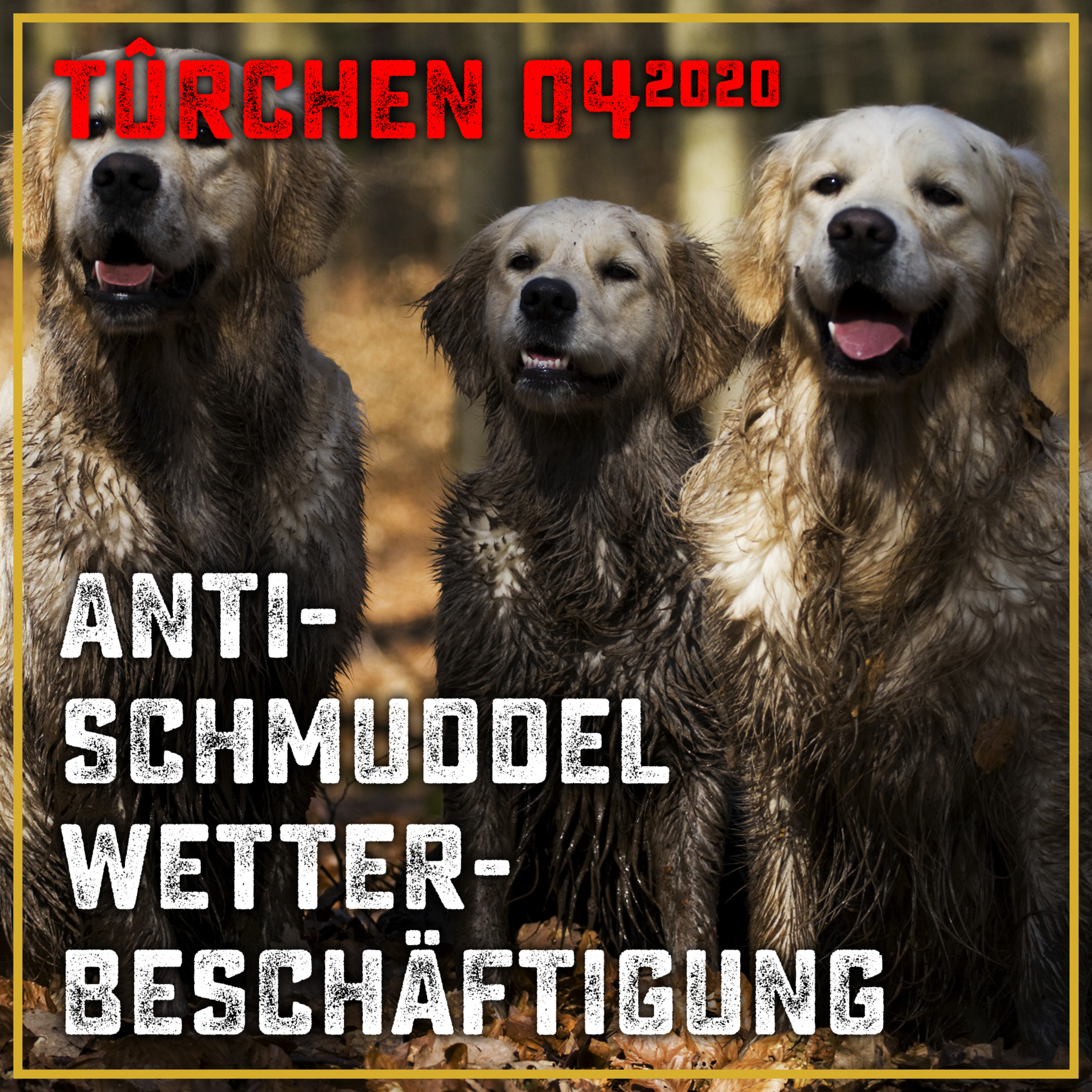 Zum Glück mit Hund | Der Podcast für glückliche Hundehalter.Innen