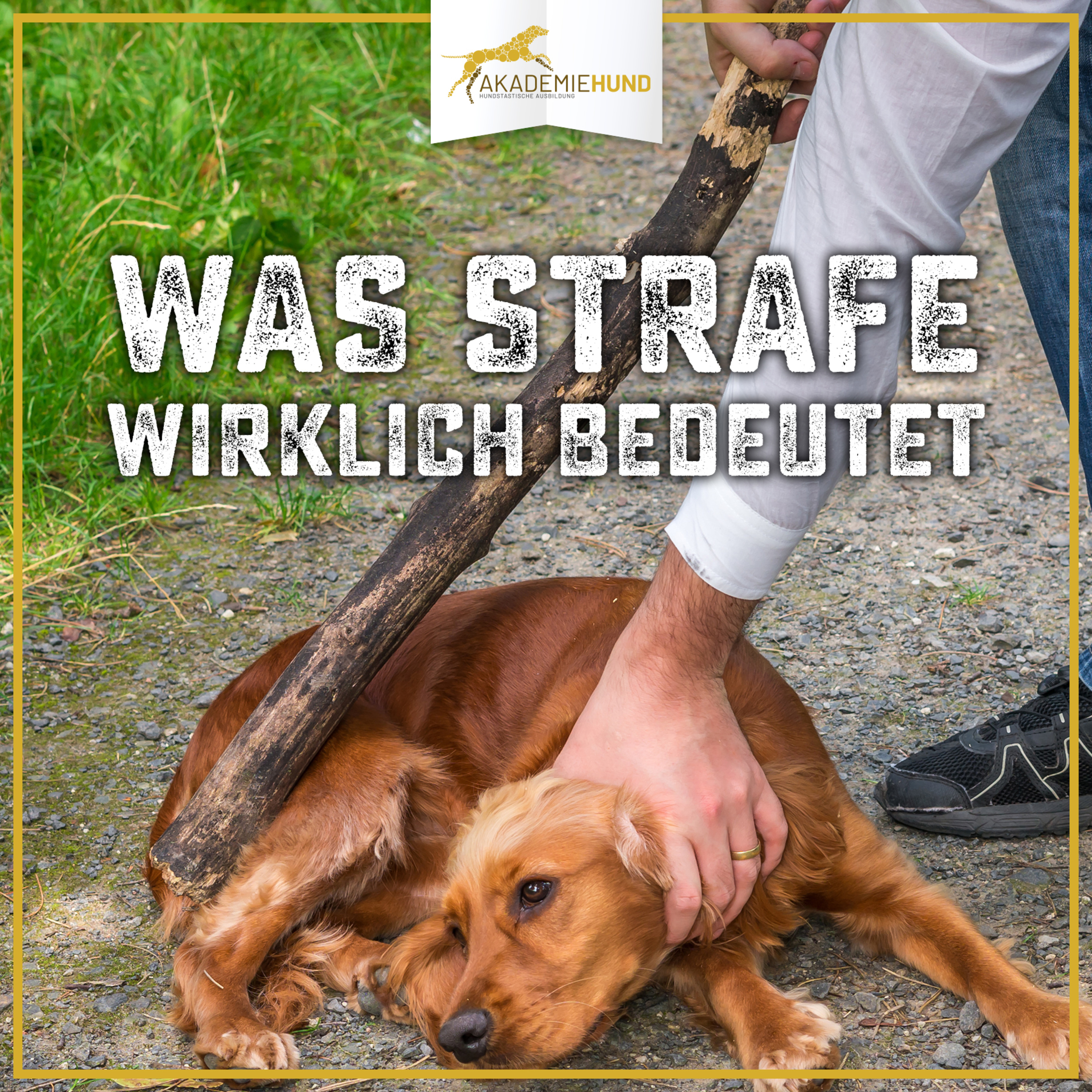Zum Glück mit Hund | Der Podcast für glückliche Hundehalter.Innen
