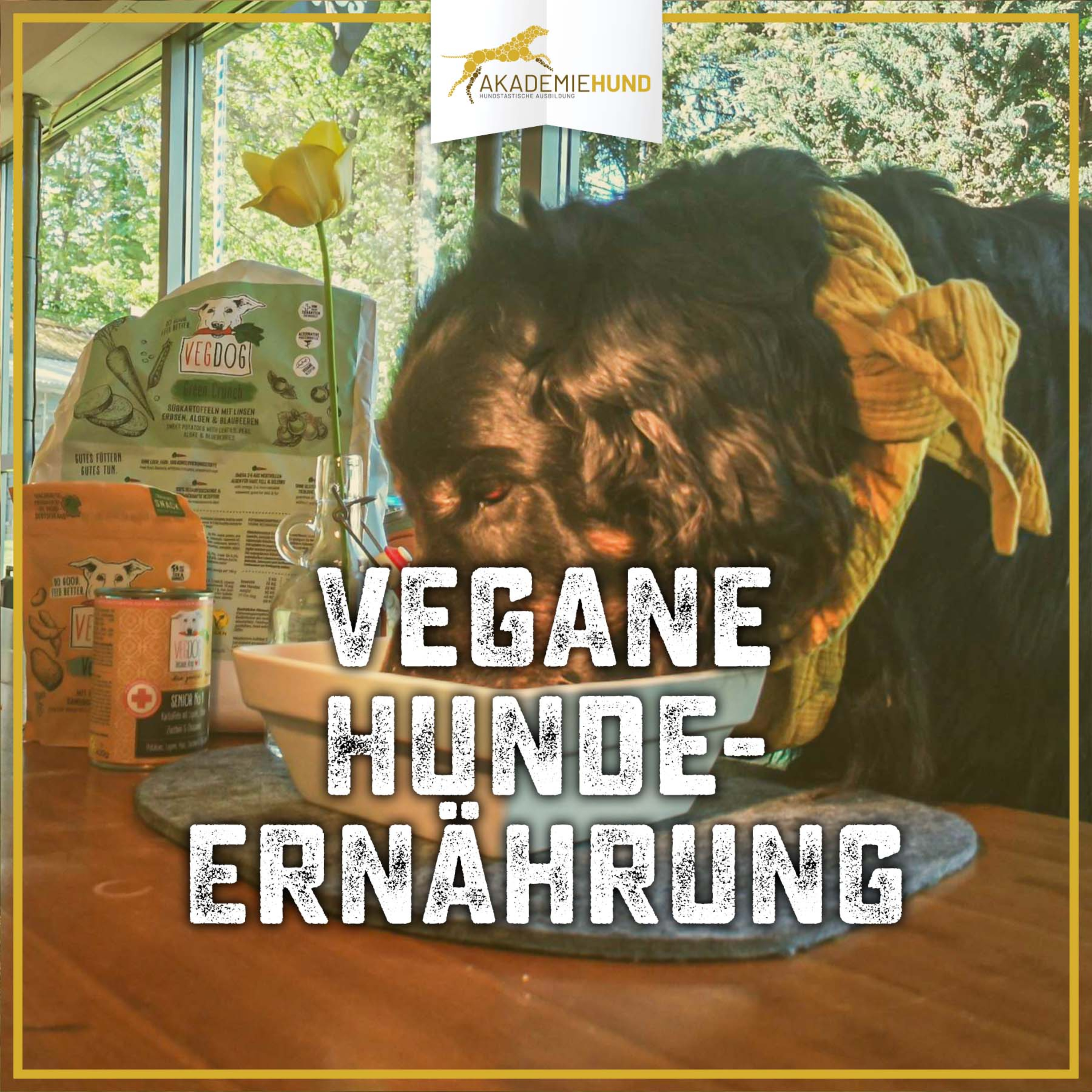 Zum Glück mit Hund | Der Podcast für glückliche Hundehalter.Innen