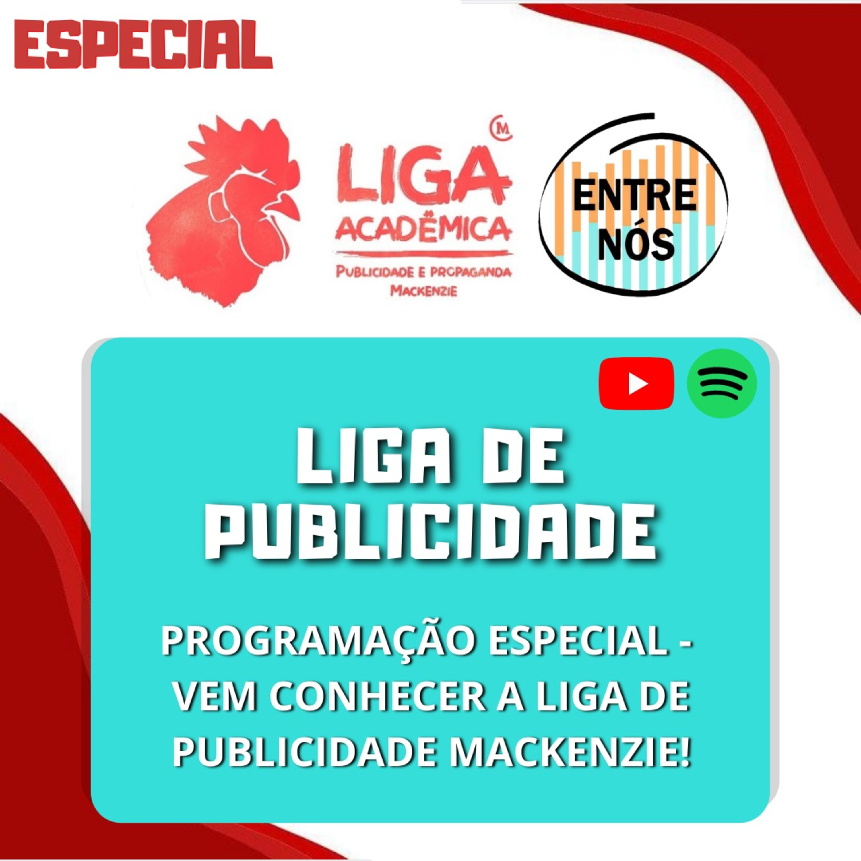 LIGA DE PUBLICIDADE
